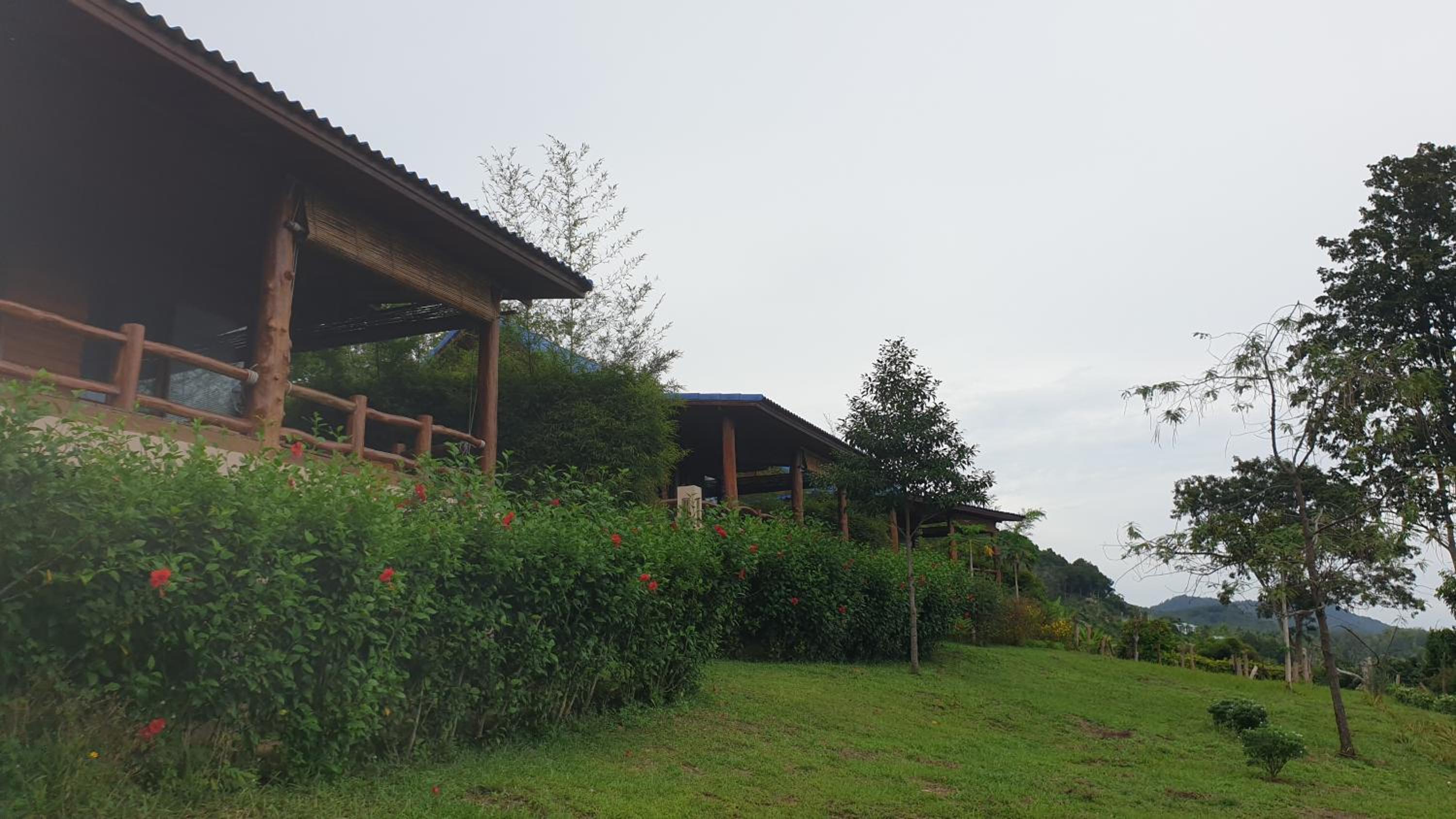 Deluxe Bungalow with Sea View (Not corner) - Photo 13