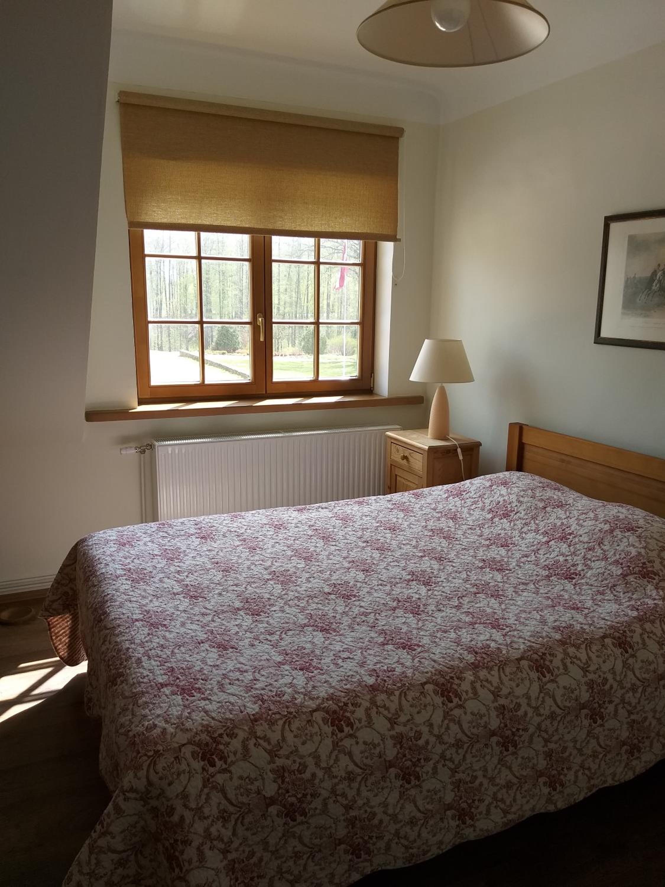 Three-Bedroom House photo 3