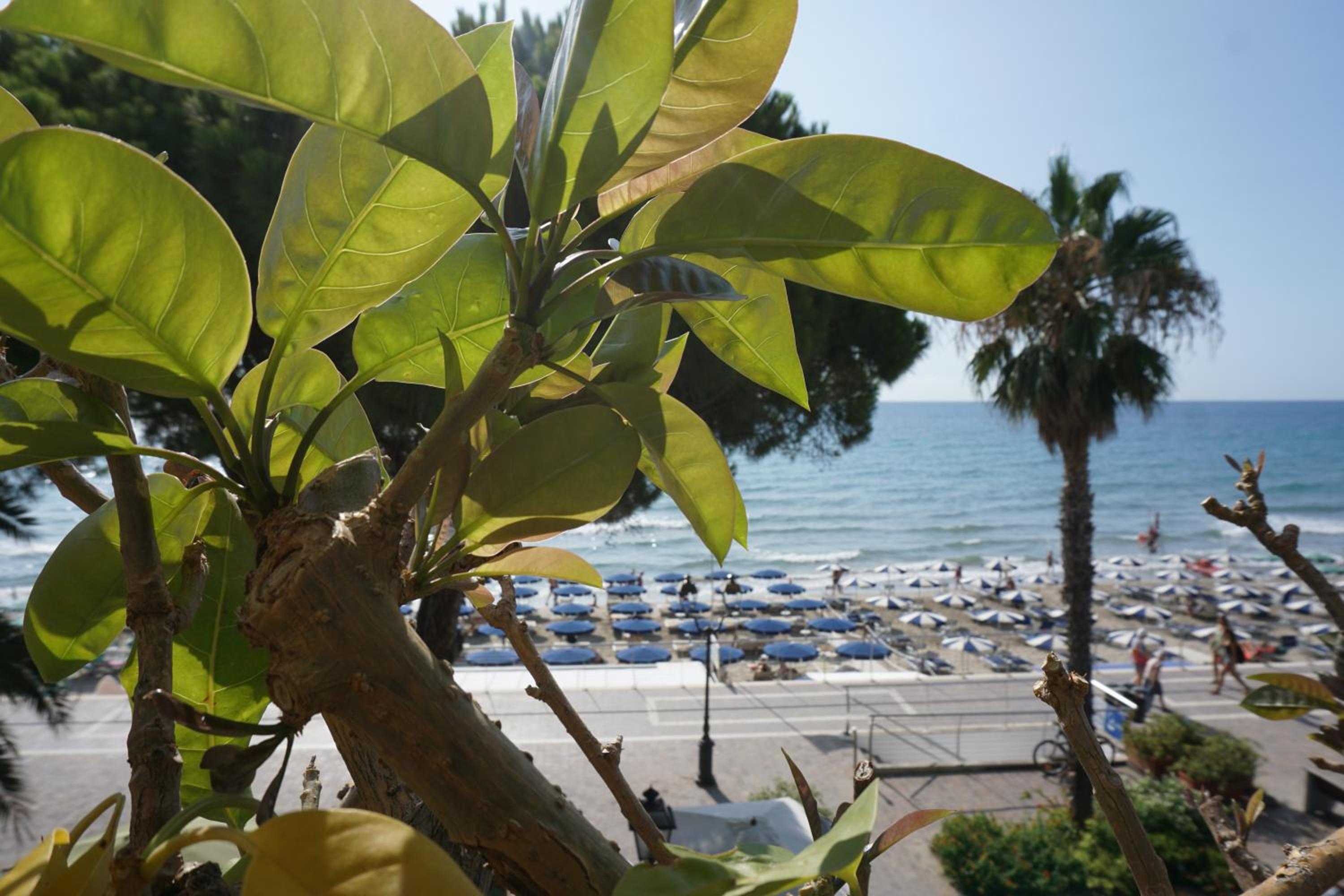 Double or Twin Room with Sea View - Photo 14