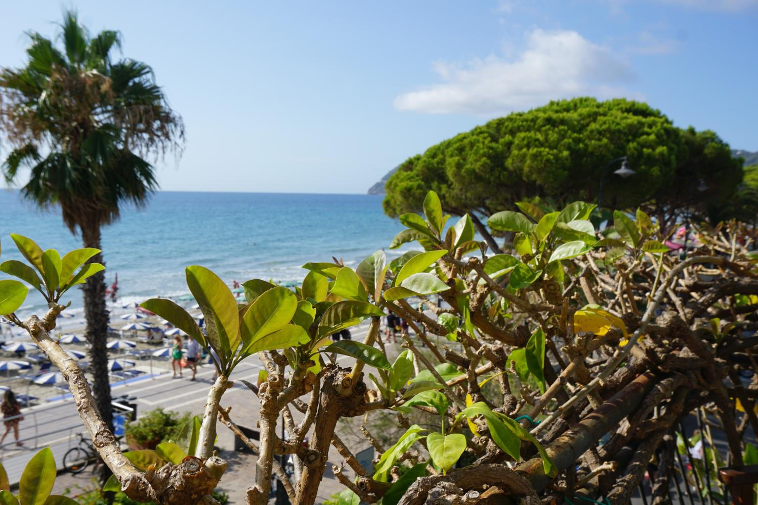 Double or Twin Room with Sea View - Photo 8