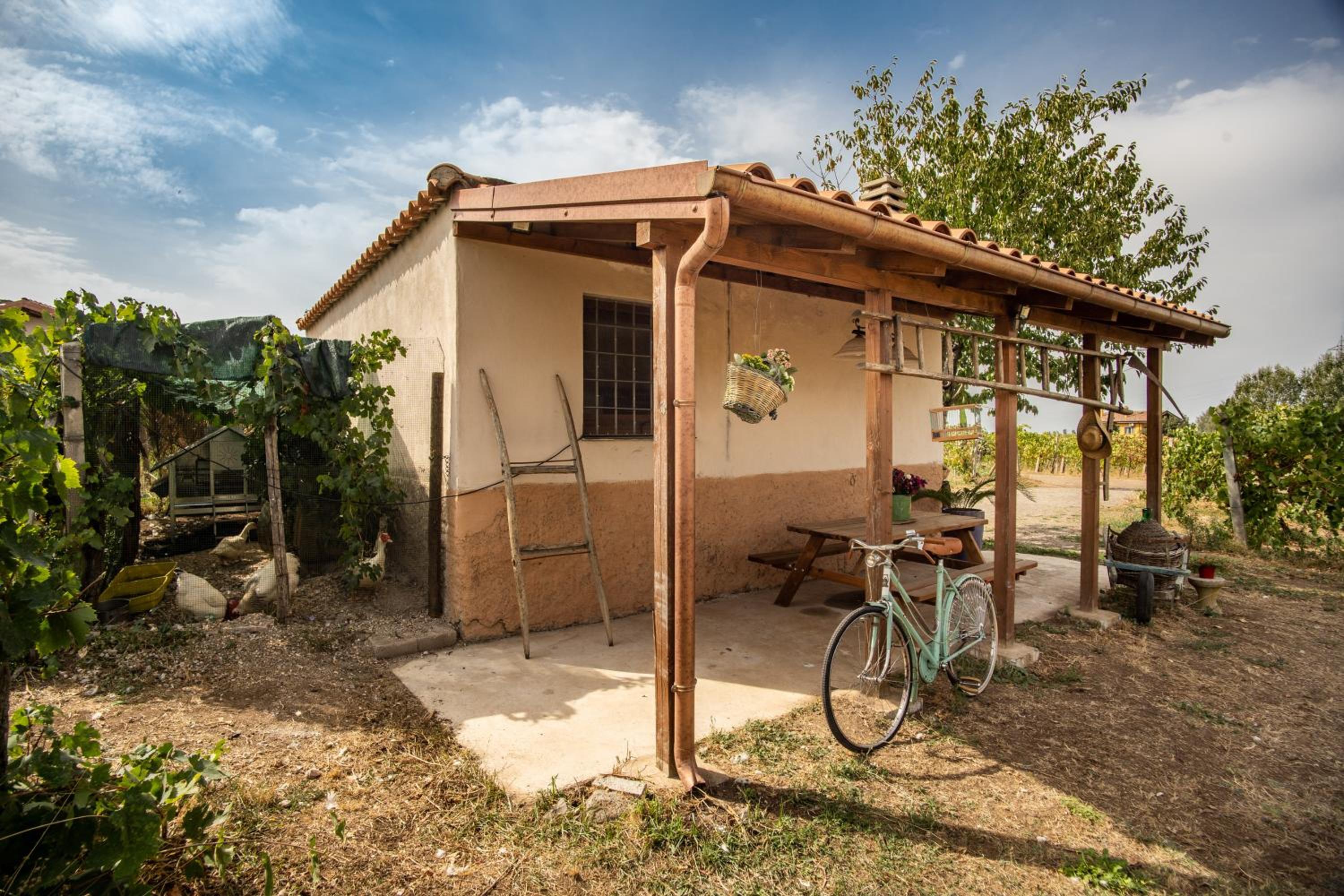 One-Bedroom House photo 2