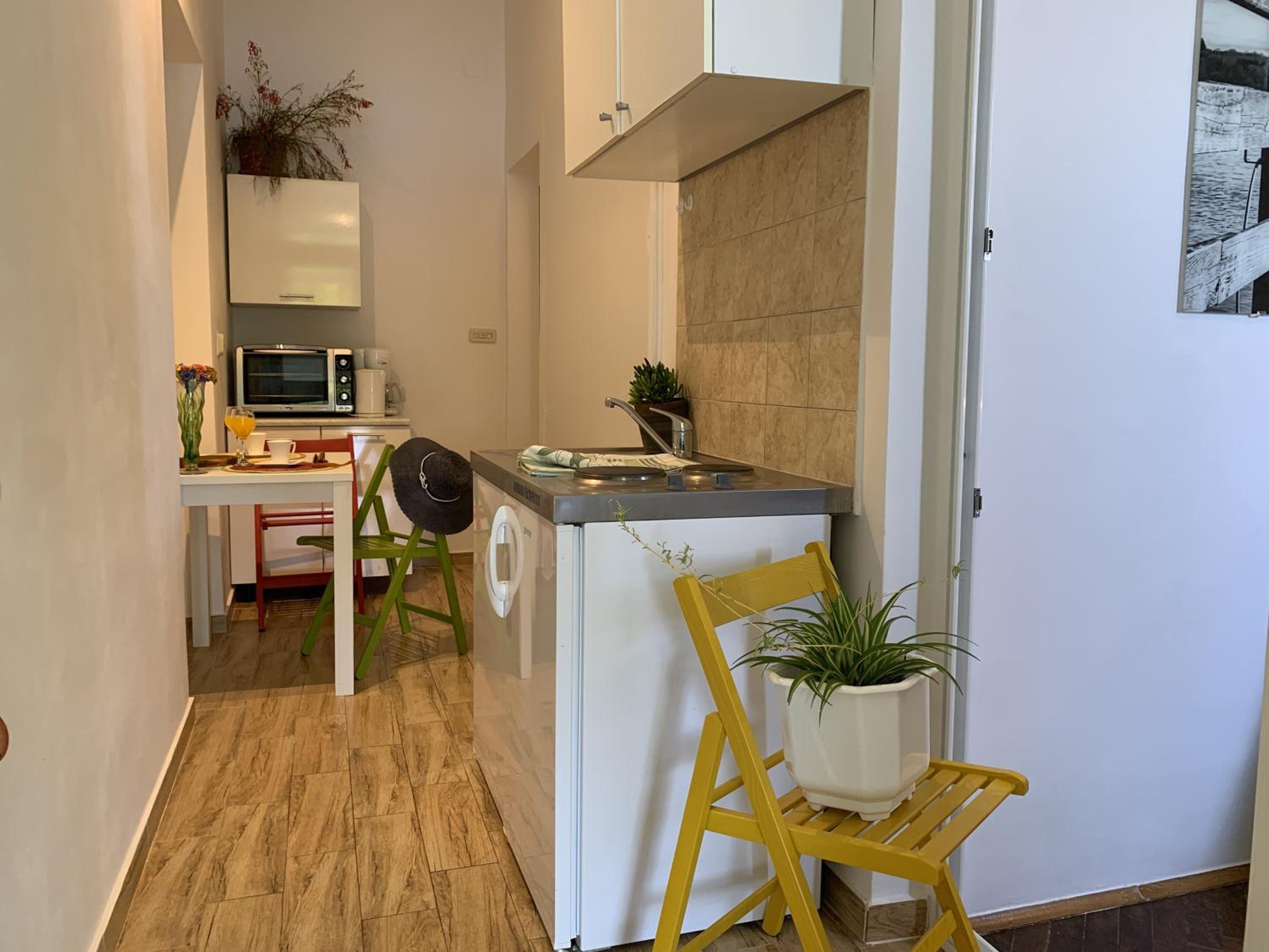 Superior One Bedroom Apartment with Terrace and Sea View photo 2