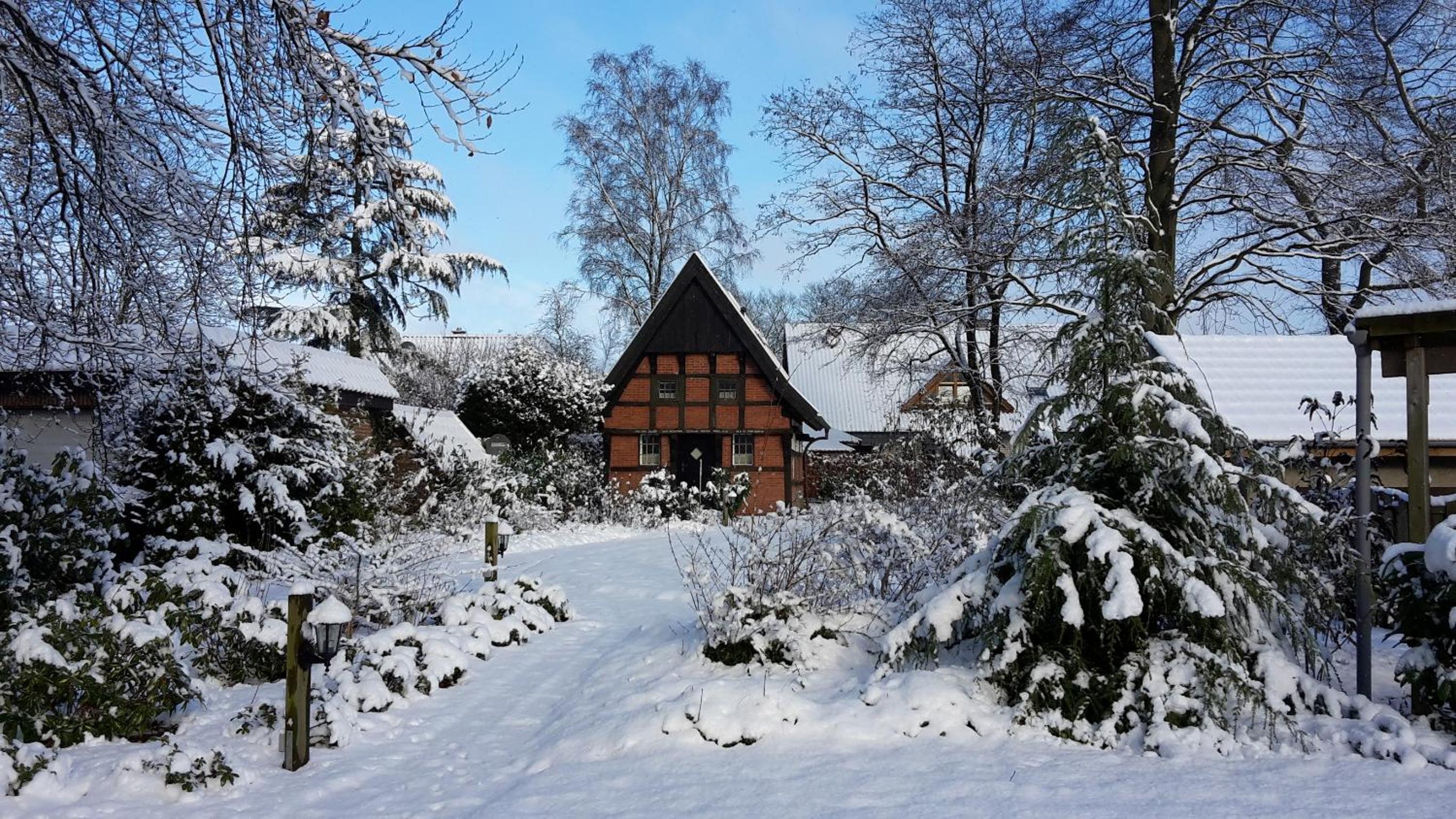 Vacation Home photo 3