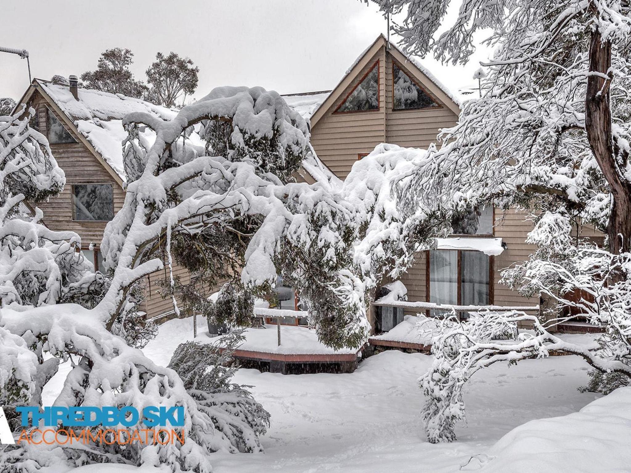 Superior Chalet photo 2