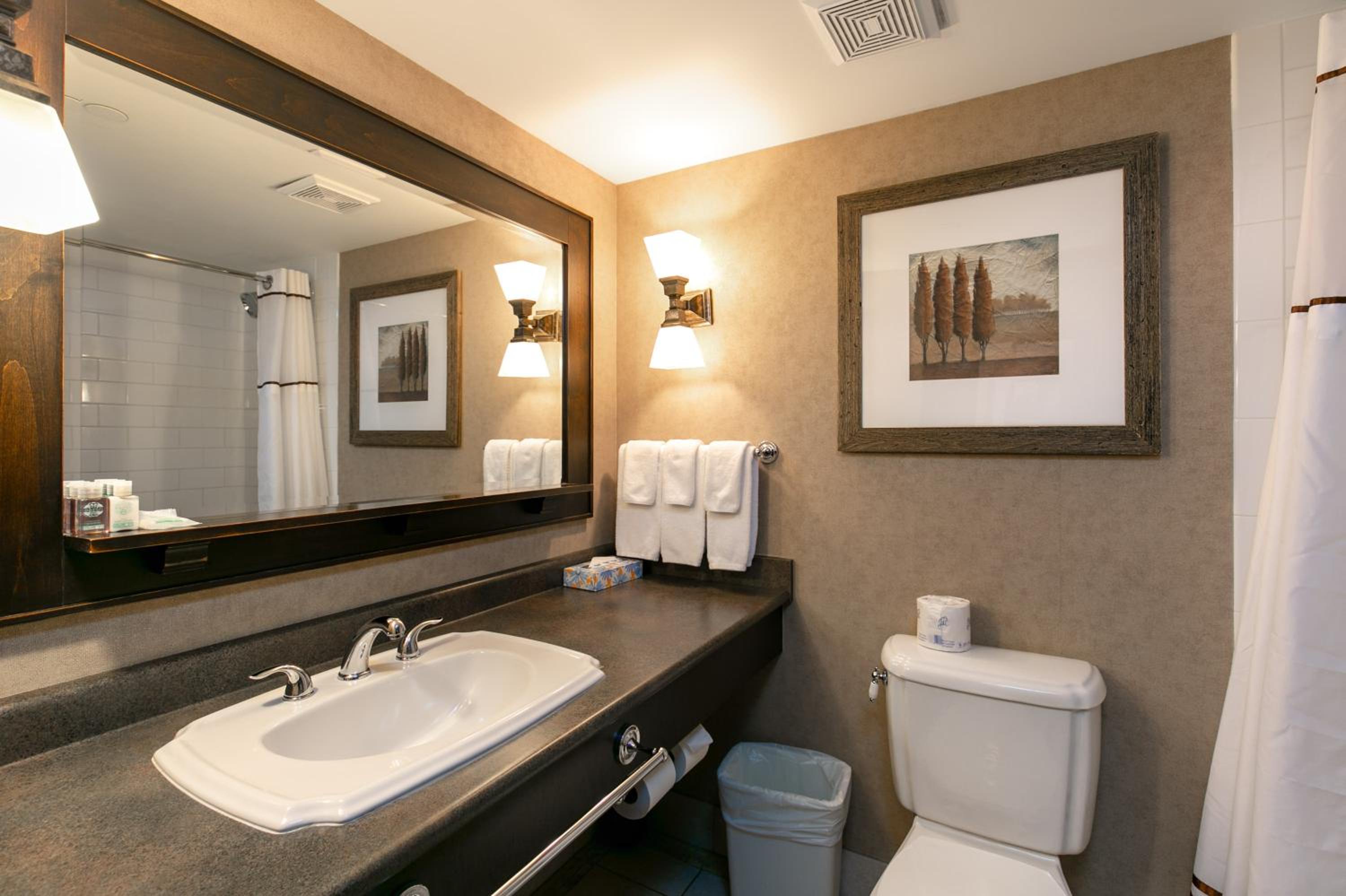 Family Suite - Photo 4