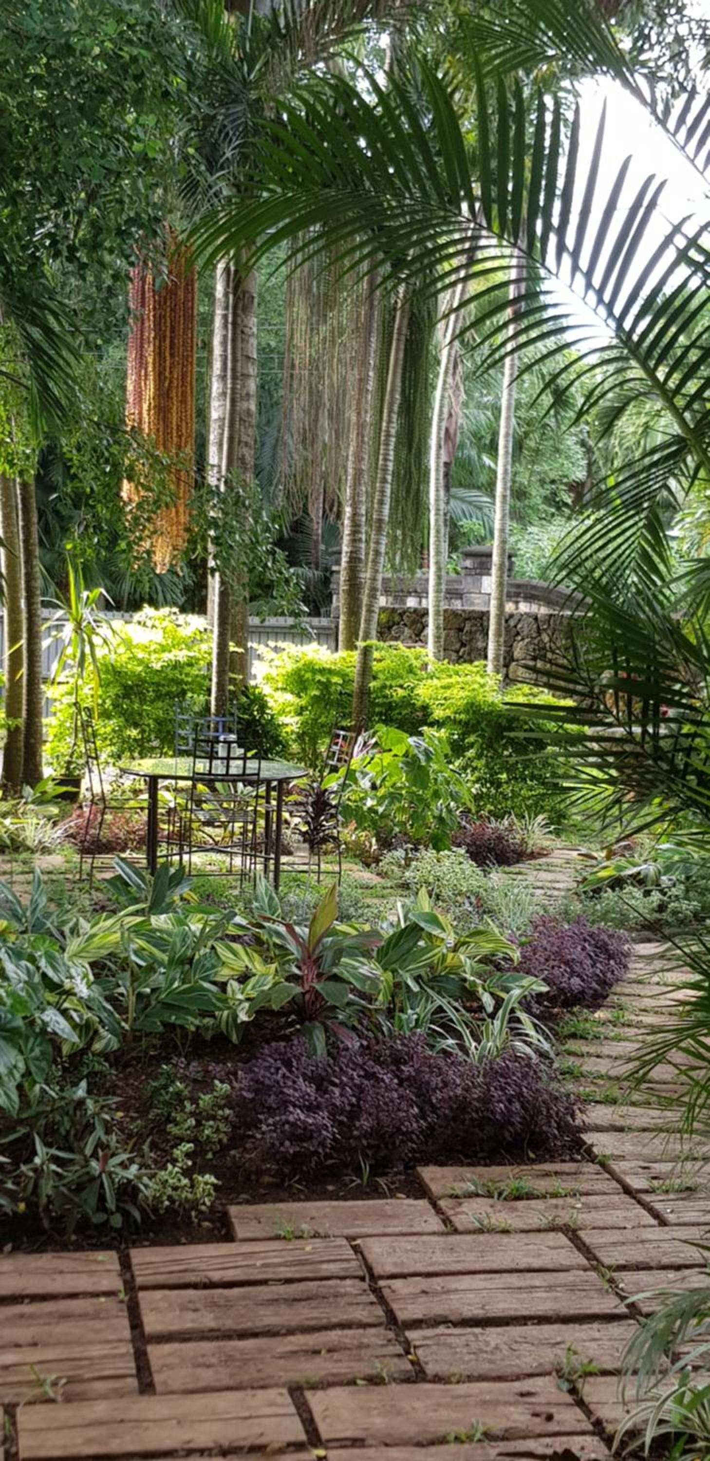 Baobab Room photo 2