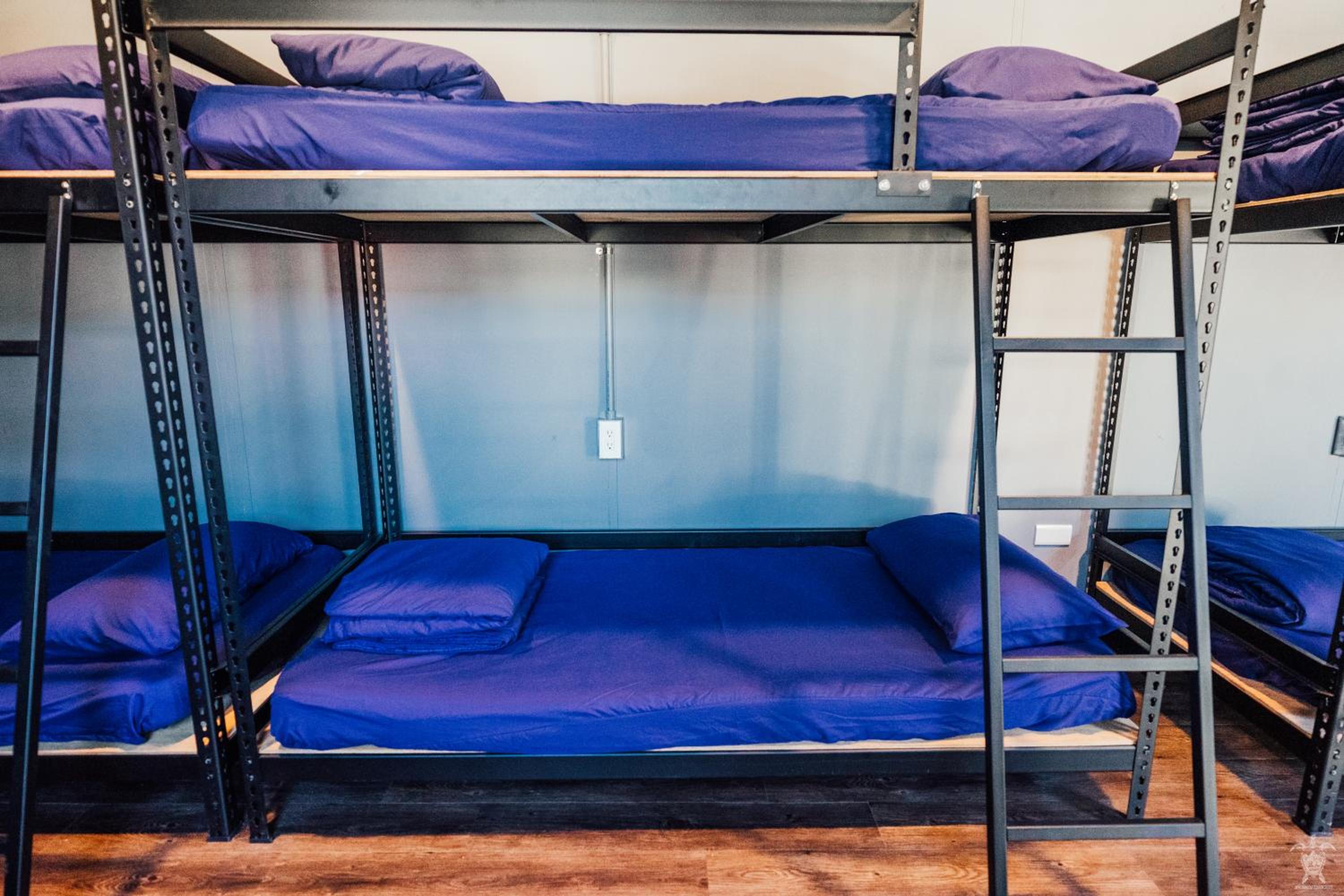 Bunk Bed in Mixed Dormitory Room photo 2