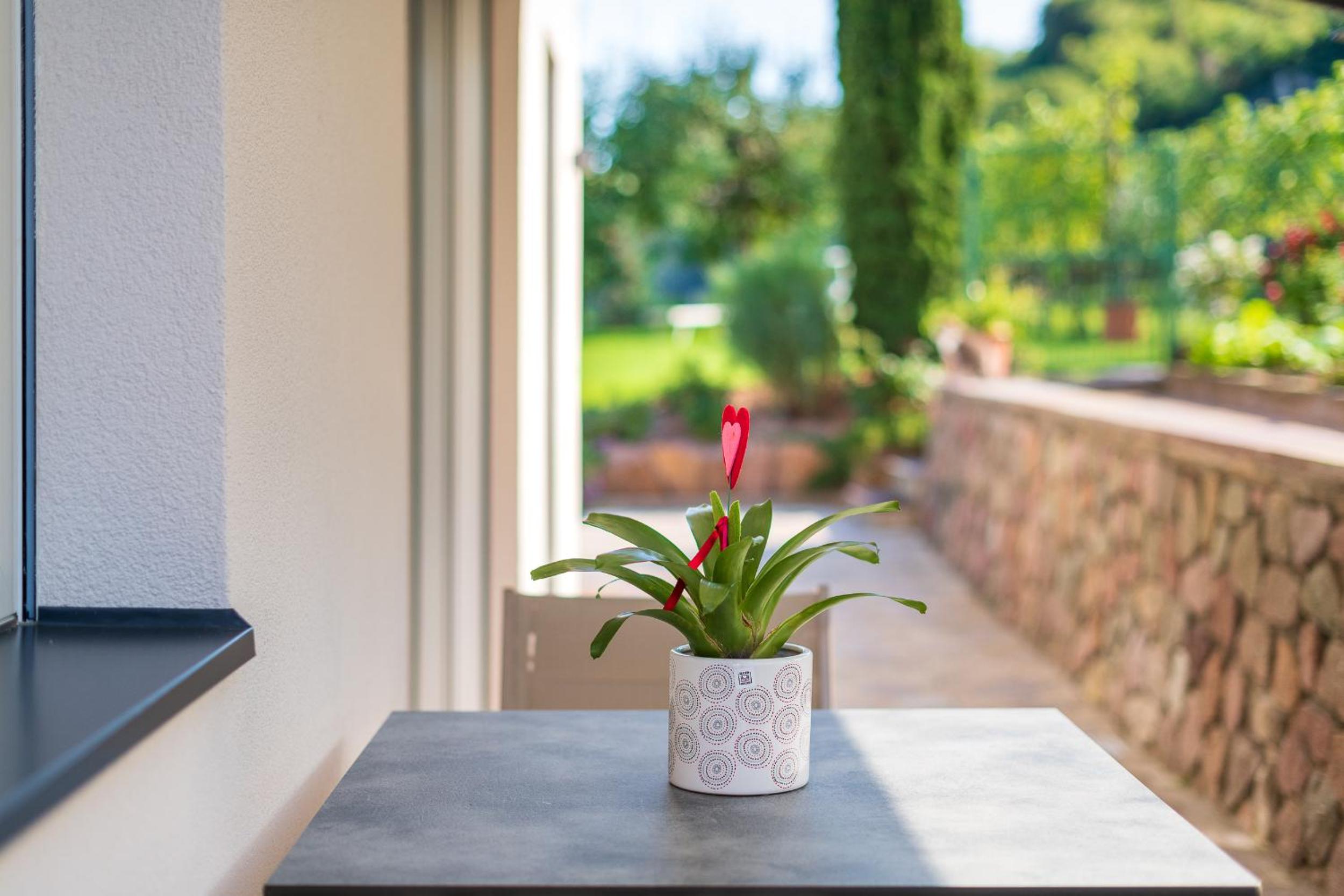 Apartment with Garden View - Photo 5