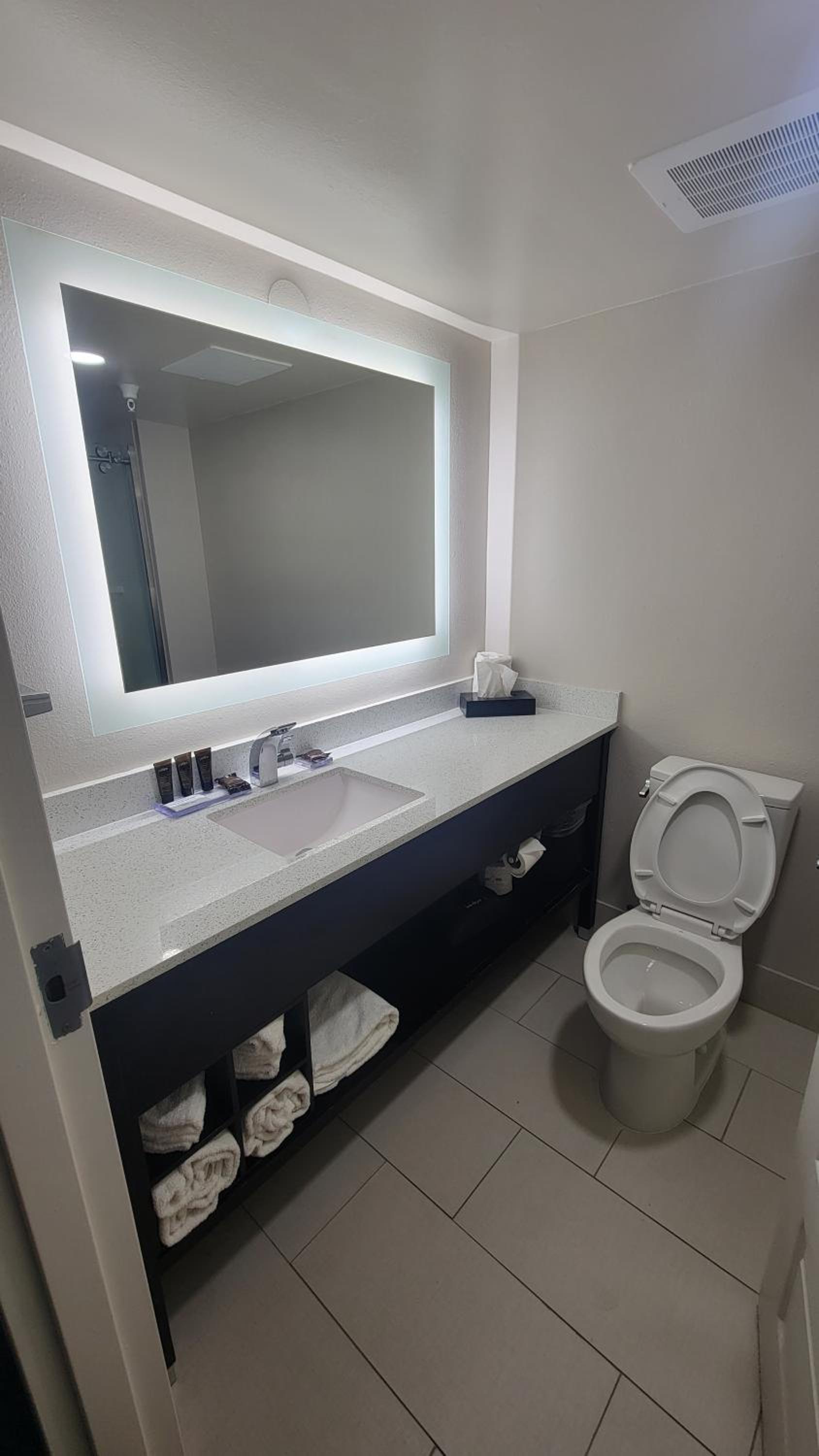 King Suite - Non-Smoking - Photo 4