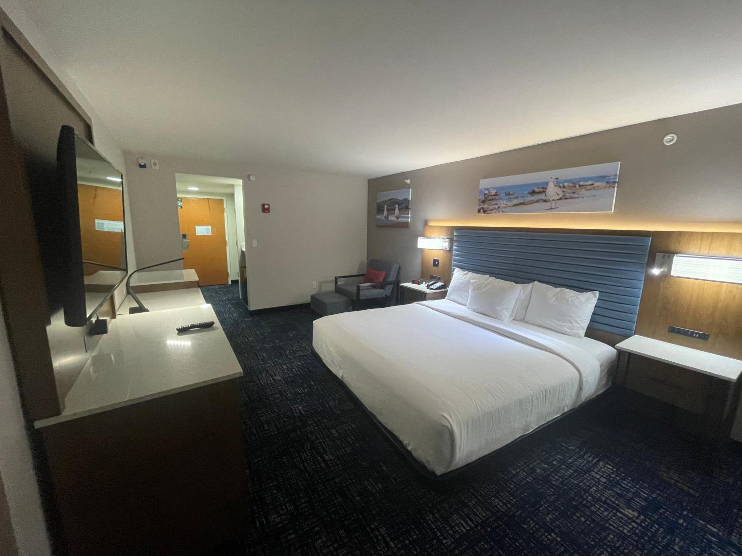 King Room with Mobility Access - Pet Friendly/Non-Smoking - Photo 4