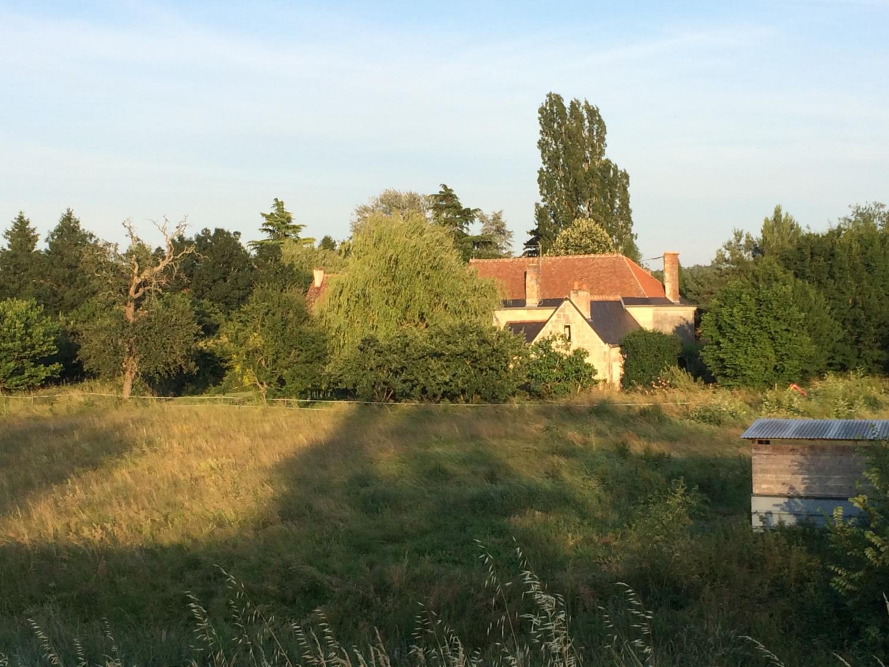 Studio with Garden View photo 1