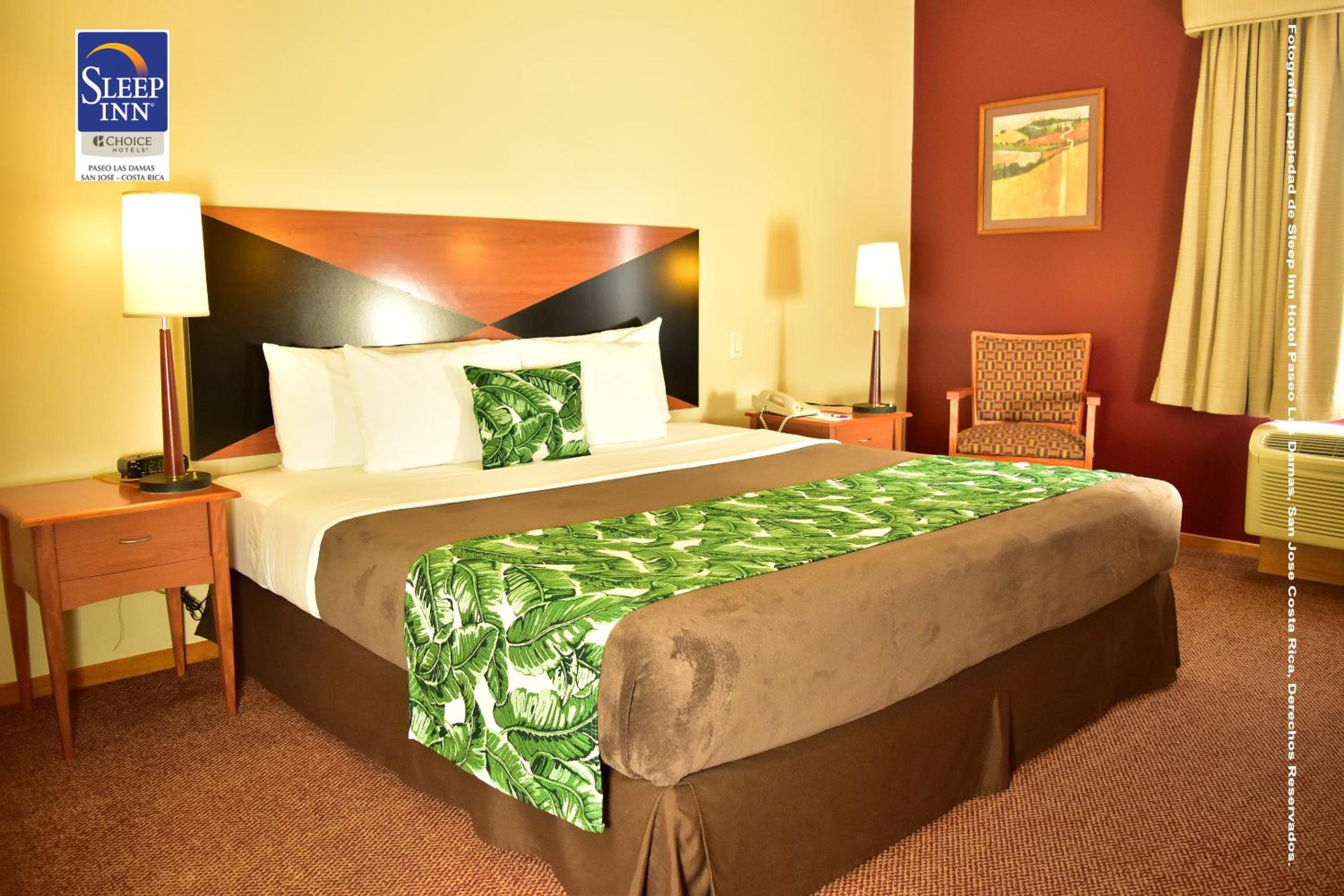 King Room - Non-Smoking - Photo 3