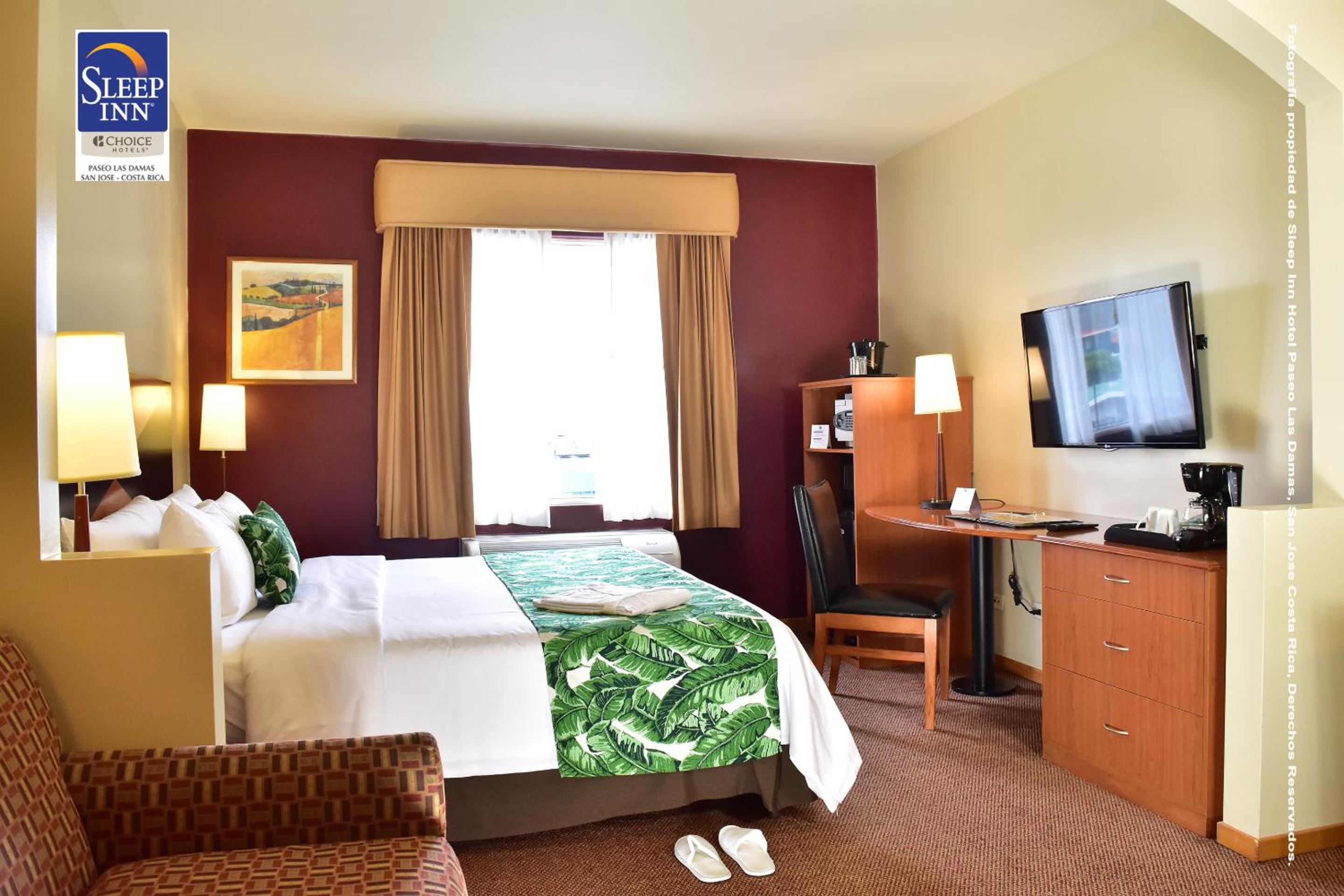 Junior Suite - Photo 3