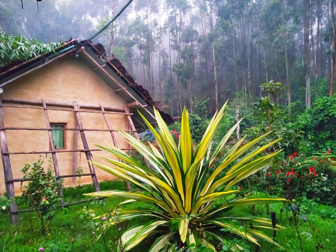Mud House photo 3