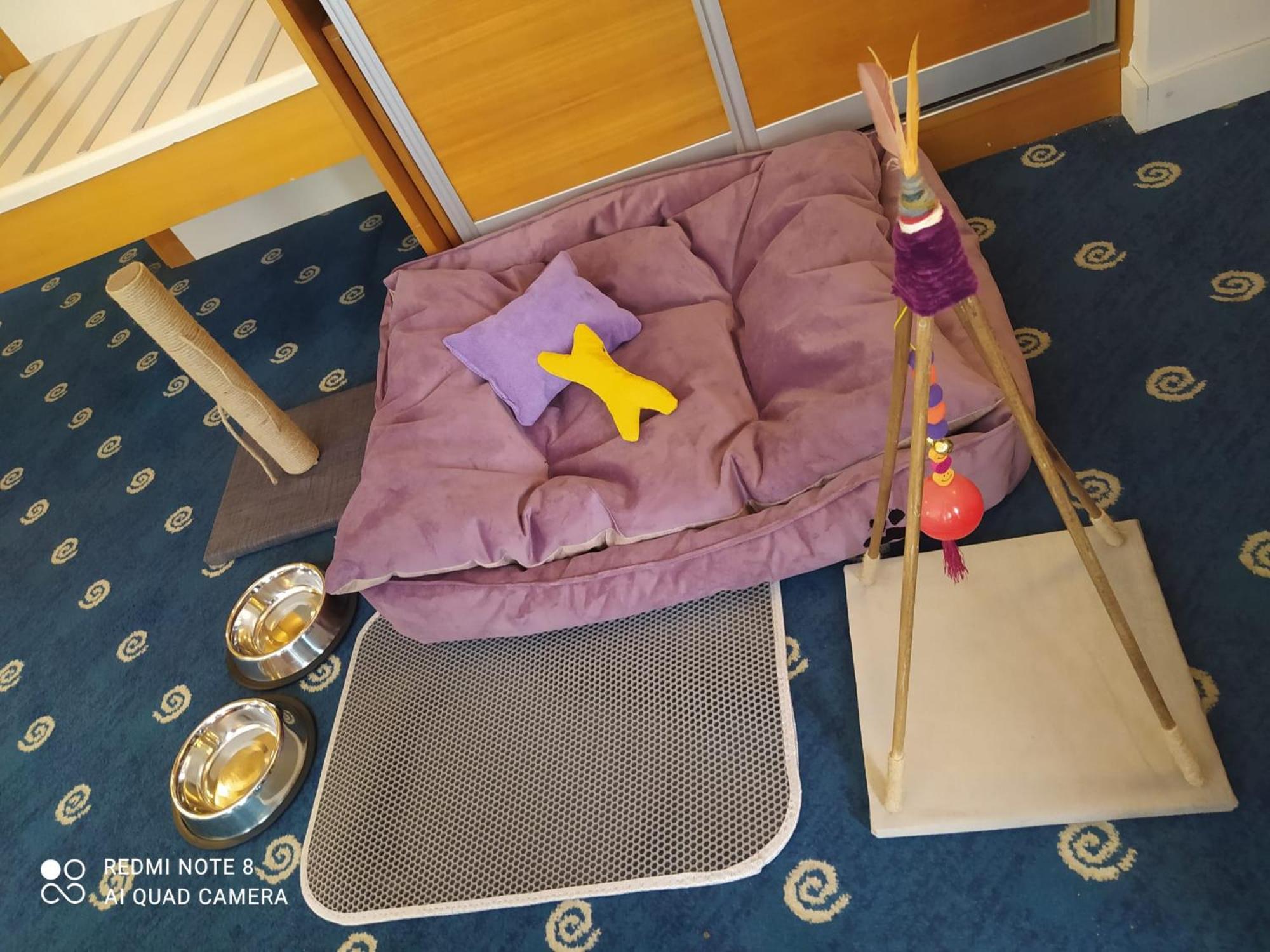 Double Room - Pet Friendly/Non-Smoking photo 3