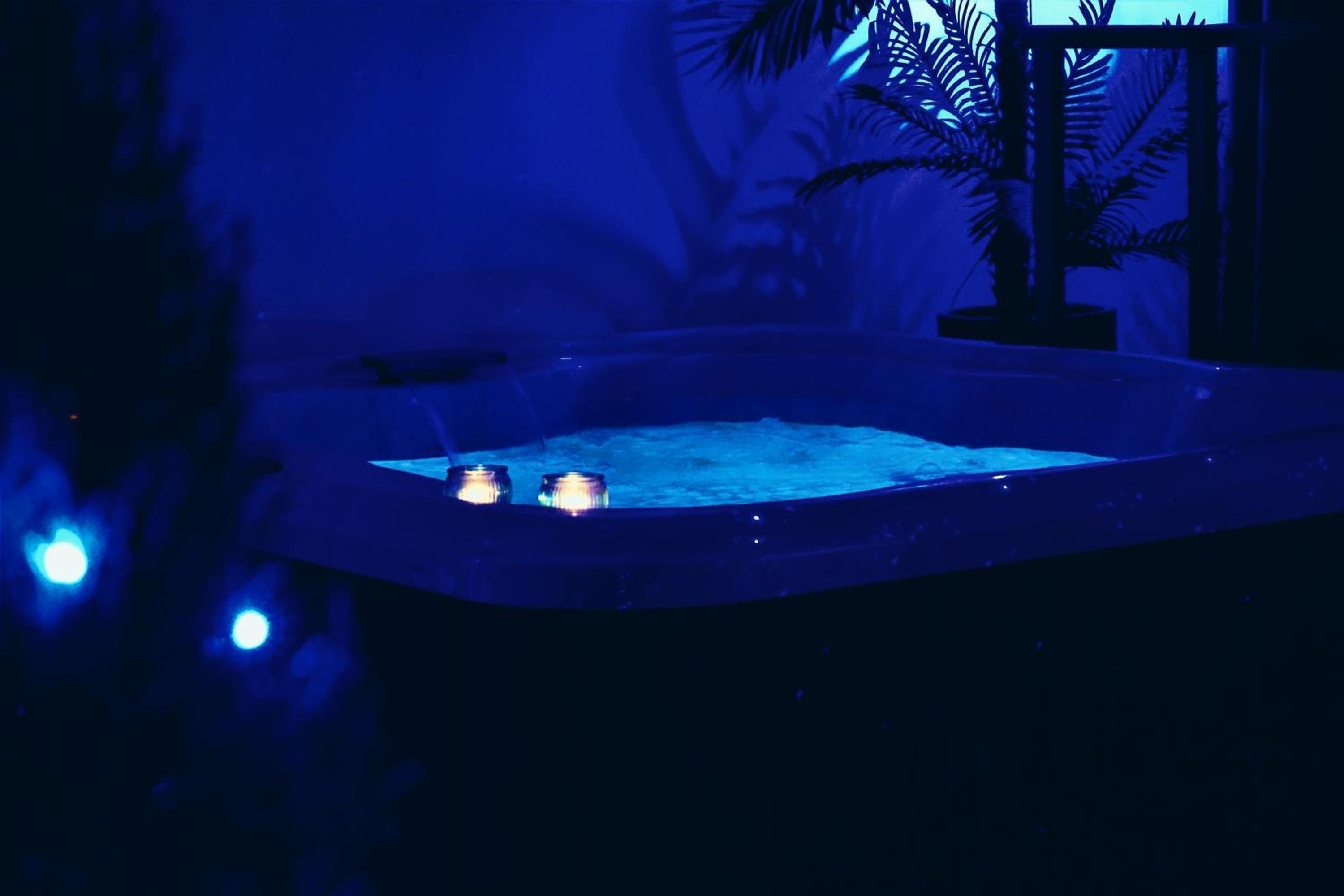 Suite - Photo 5