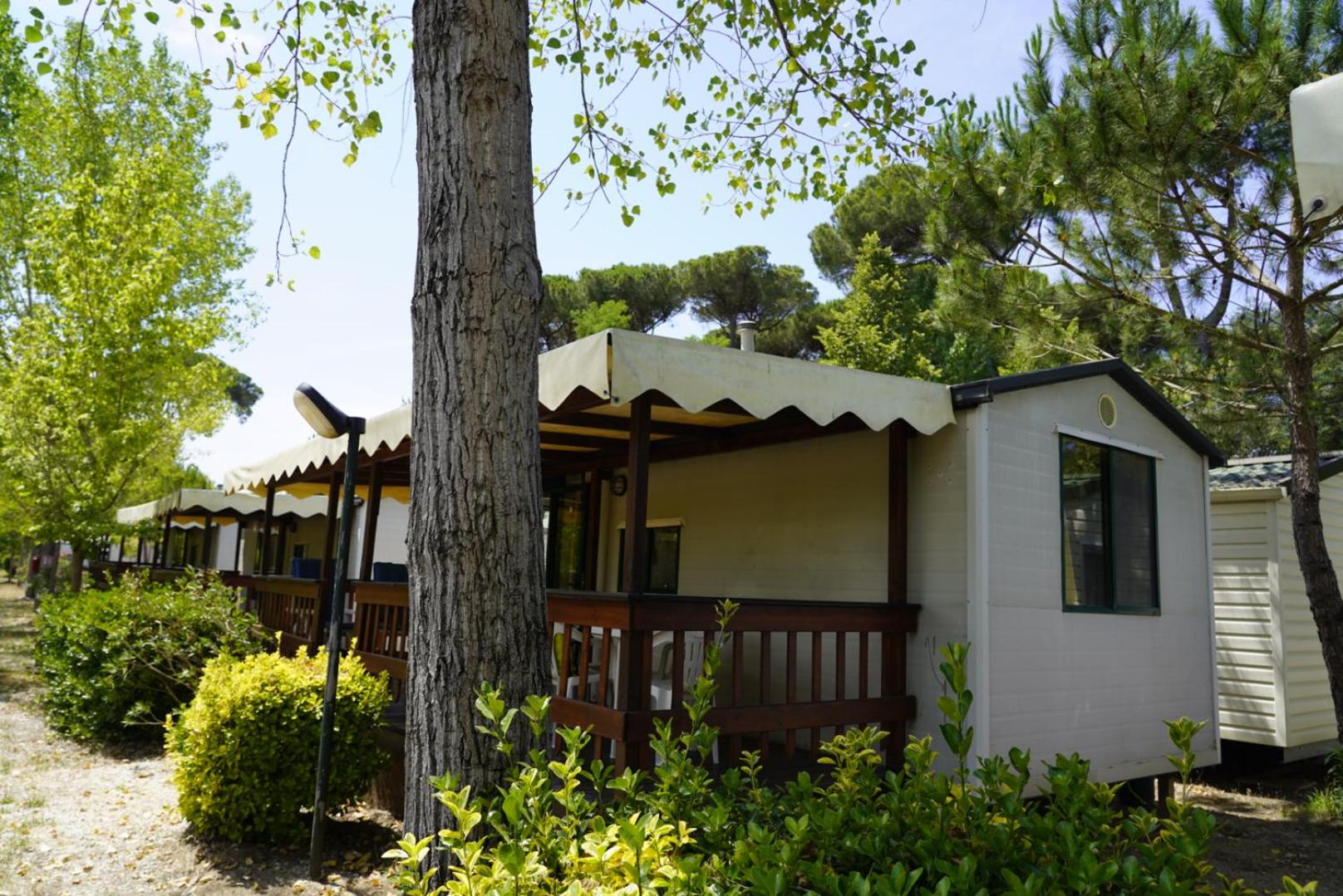 Two-Bedroom Chalet - Photo 16