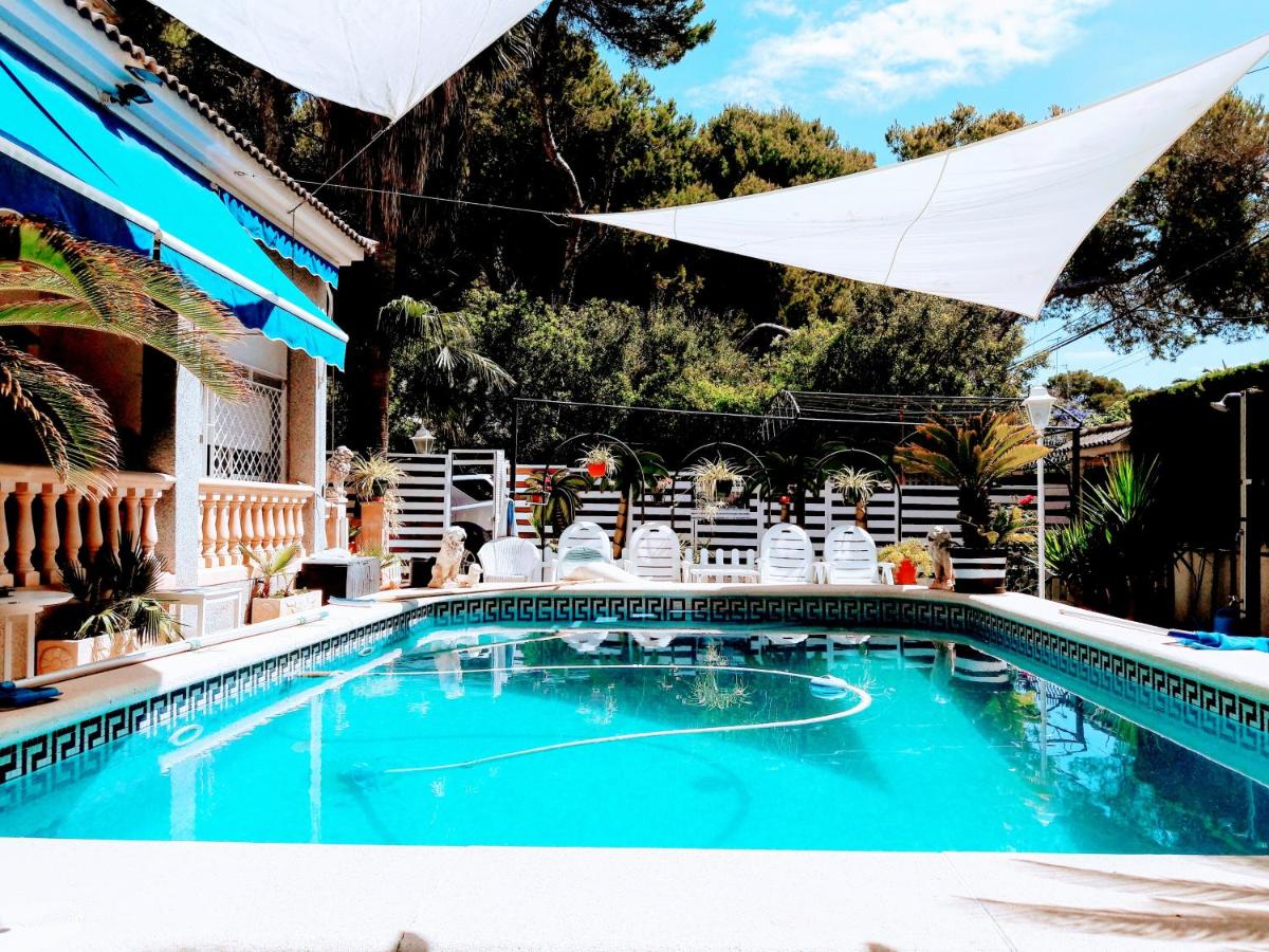 Deluxe Villa photo 2