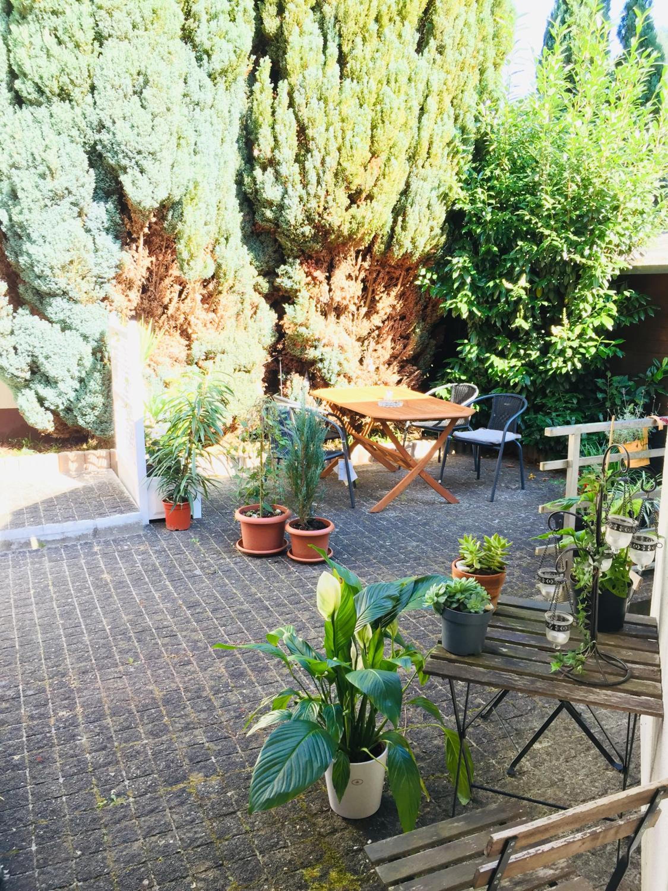 Apartment with Terrace photo 3
