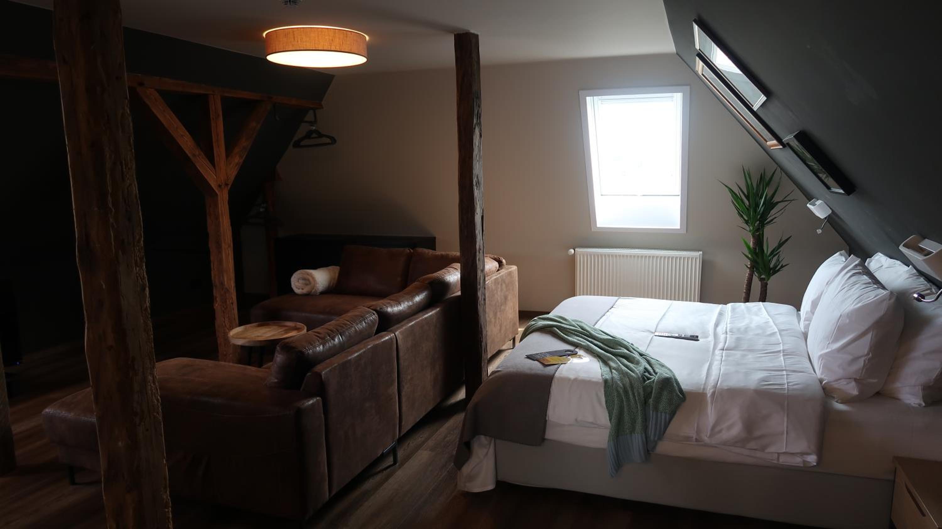 Deluxe Suite photo 1