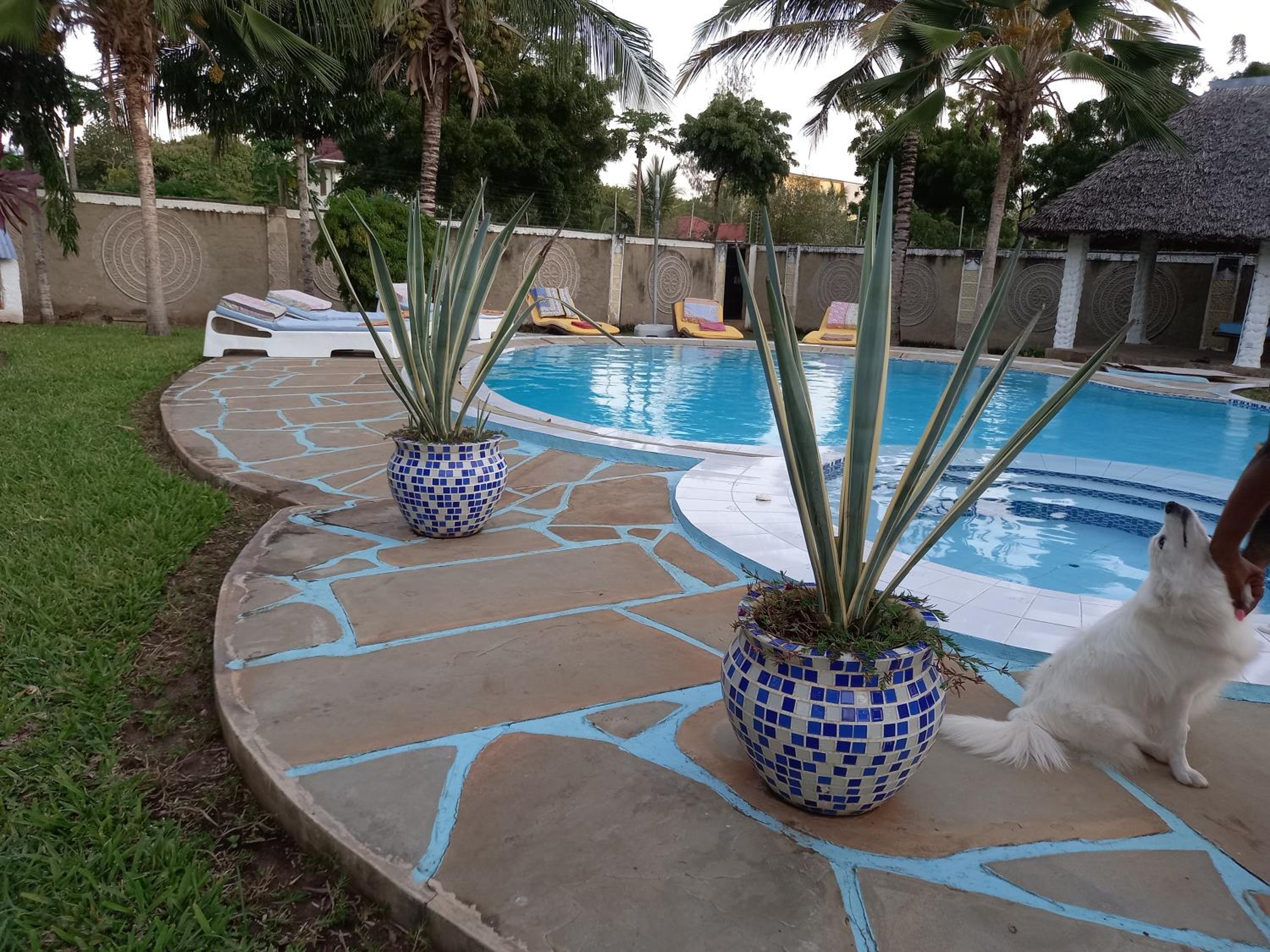 Villa with Private Pool - Photo 2