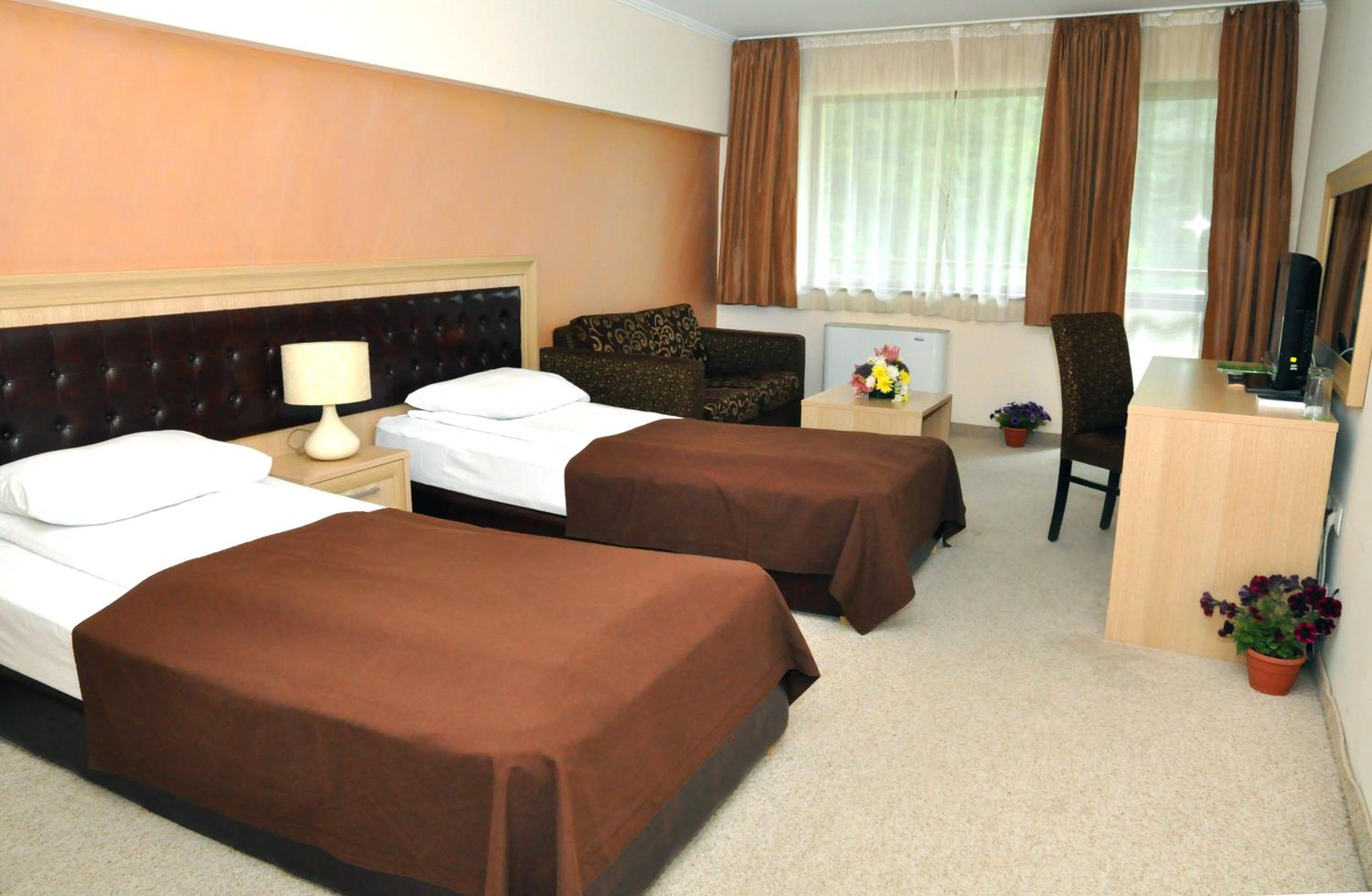 Deluxe Double or Twin Room with Balcony photo 3