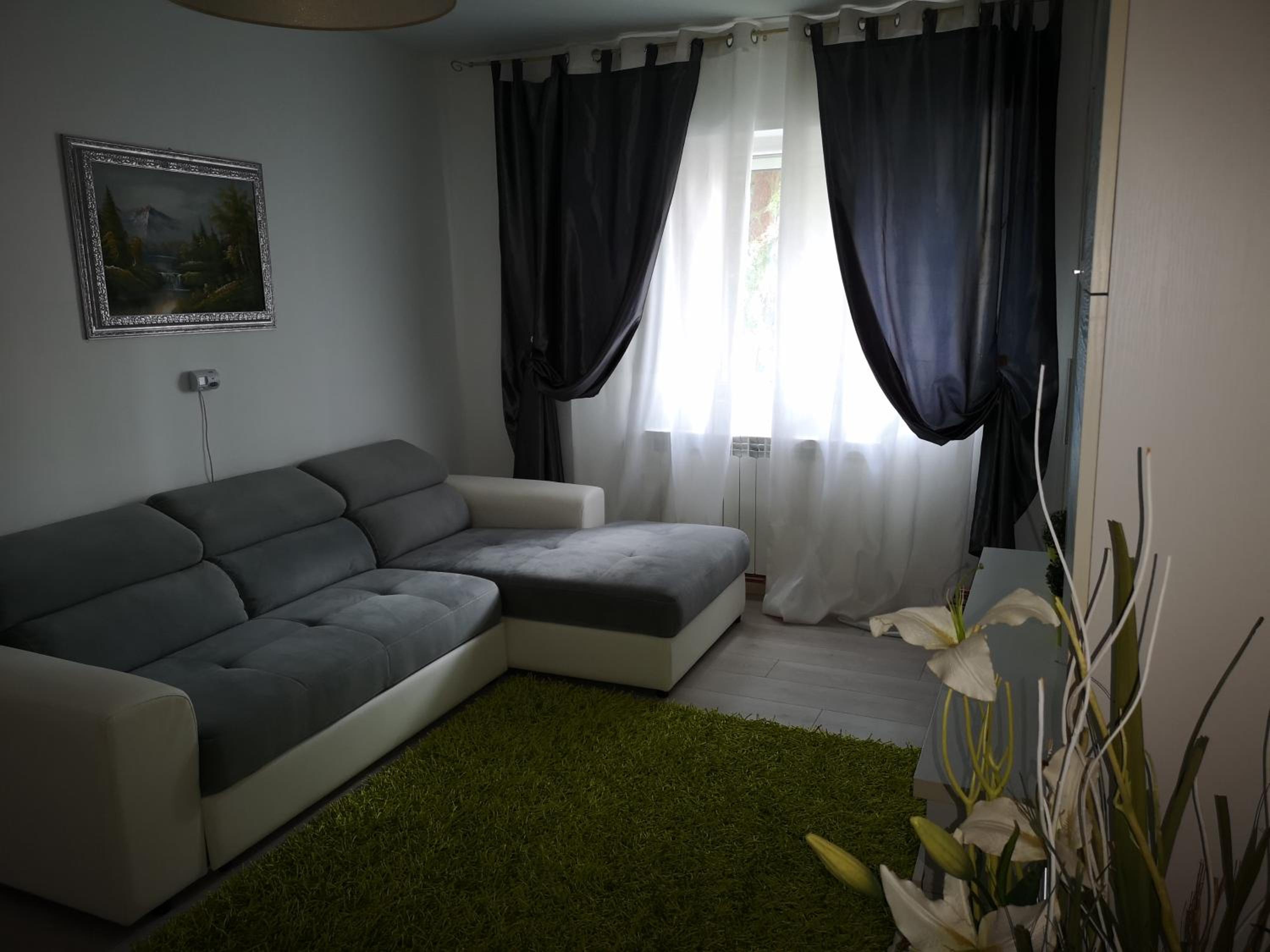 One-Bedroom Apartment photo 3