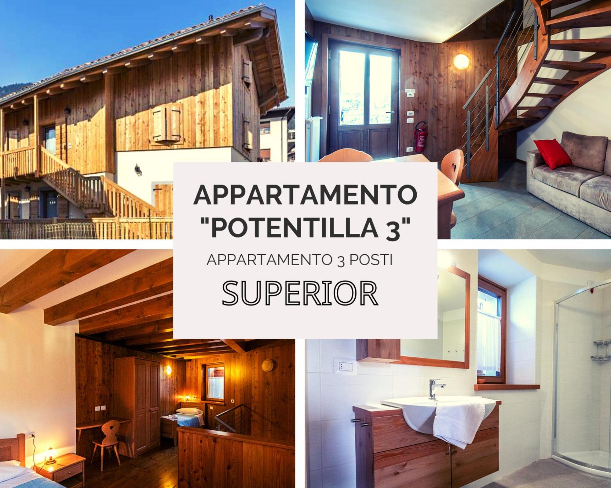 Superior Apartment - Photo 5