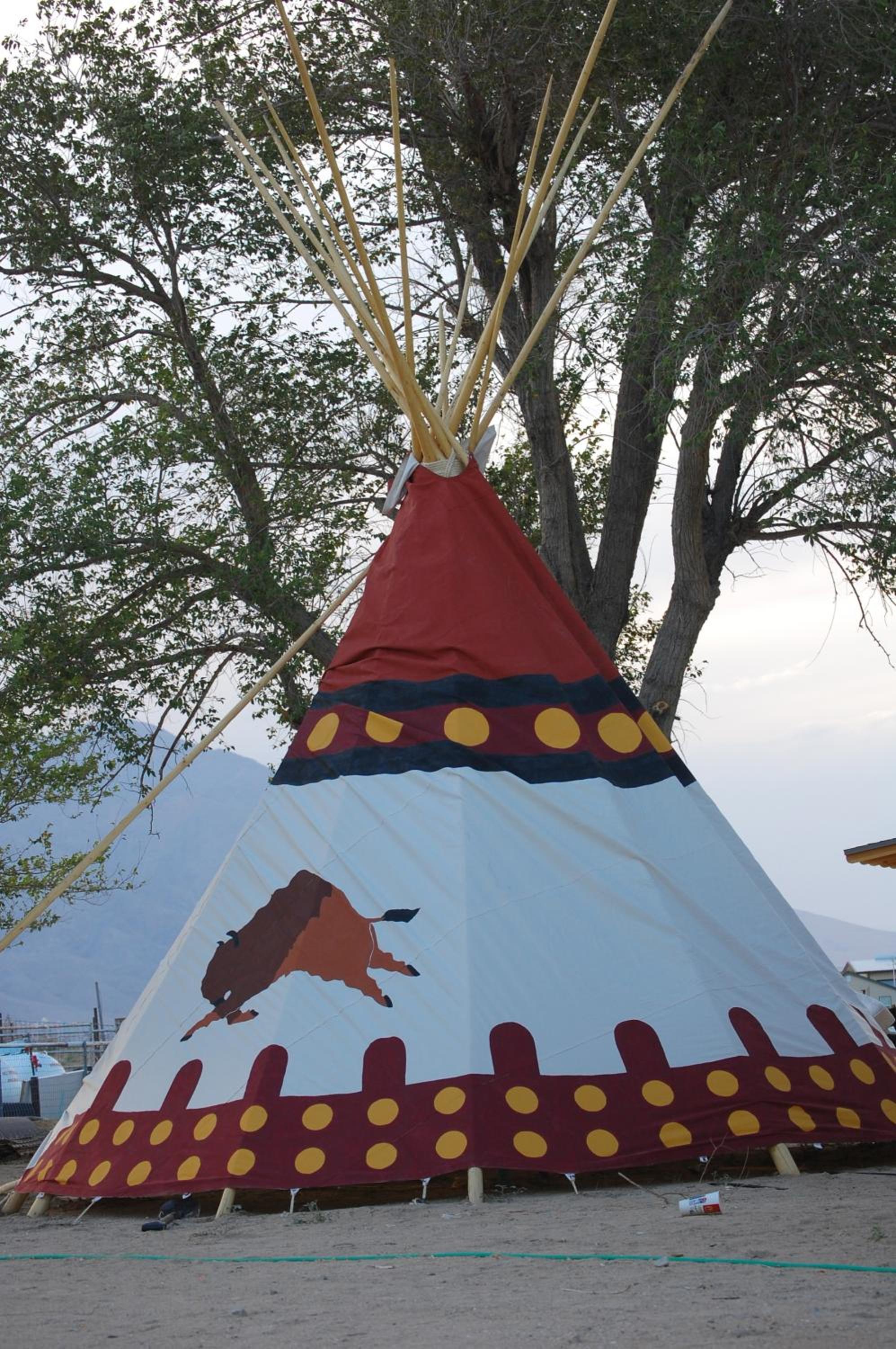 Teepee - Buffalo photo 3