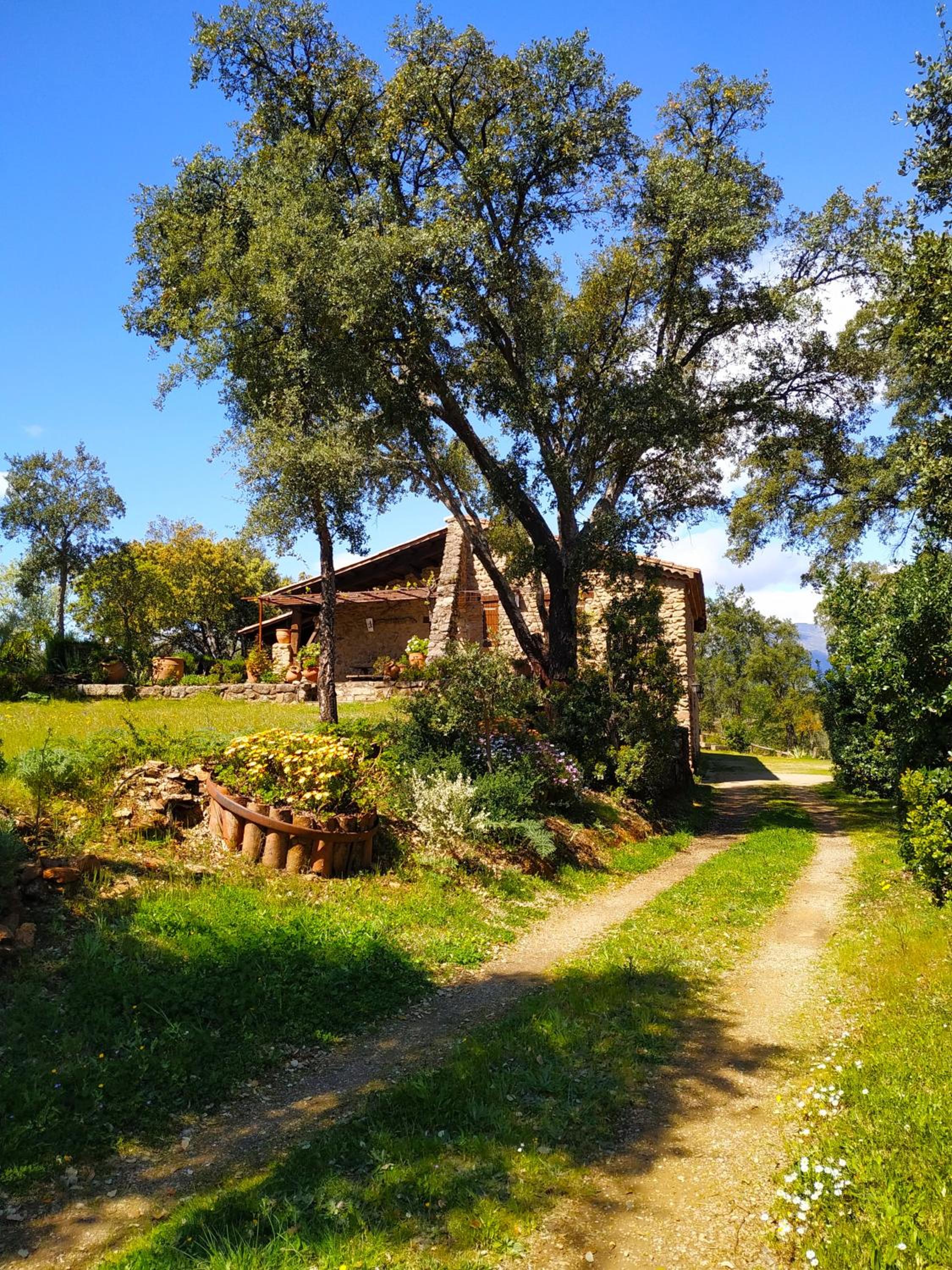 Four-Bedroom House photo 2
