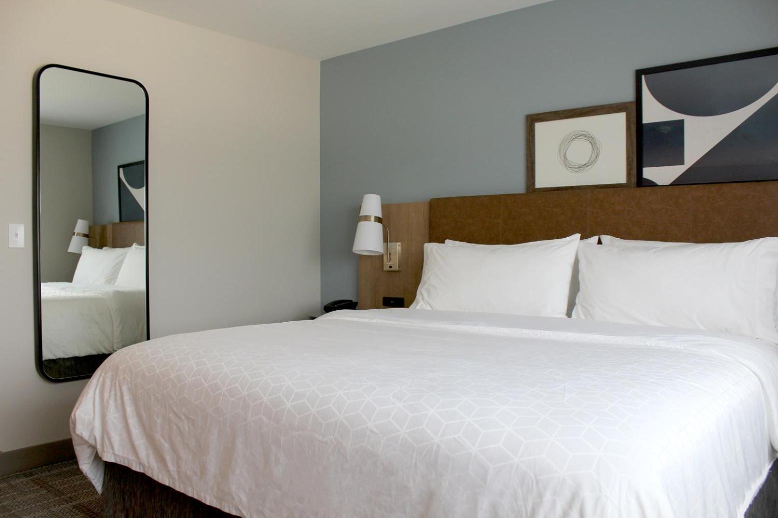 King Studio Suite with Sofa Bed - Photo 1