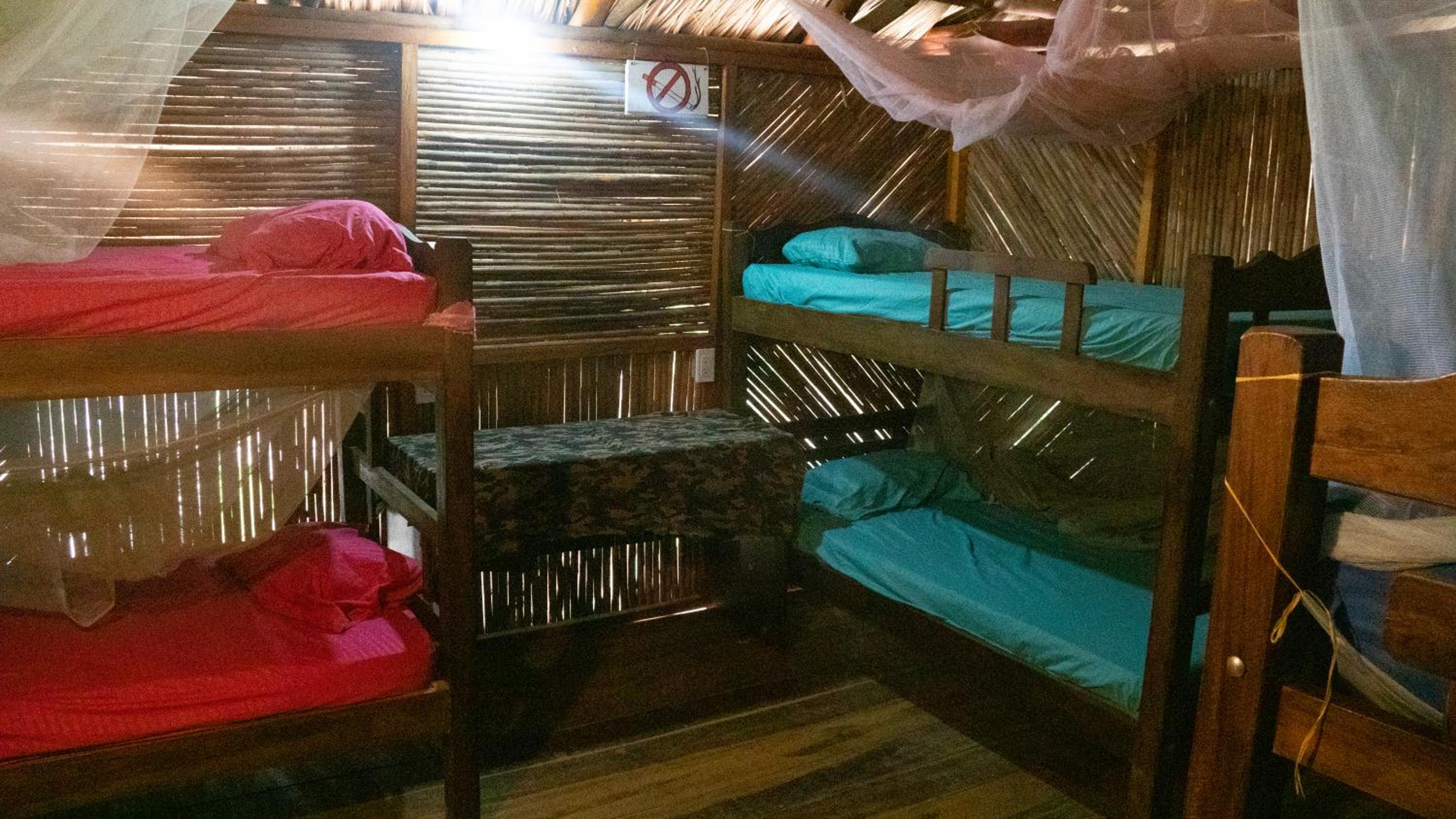 Single Bed in 6-Bed Dormitory Room photo 2