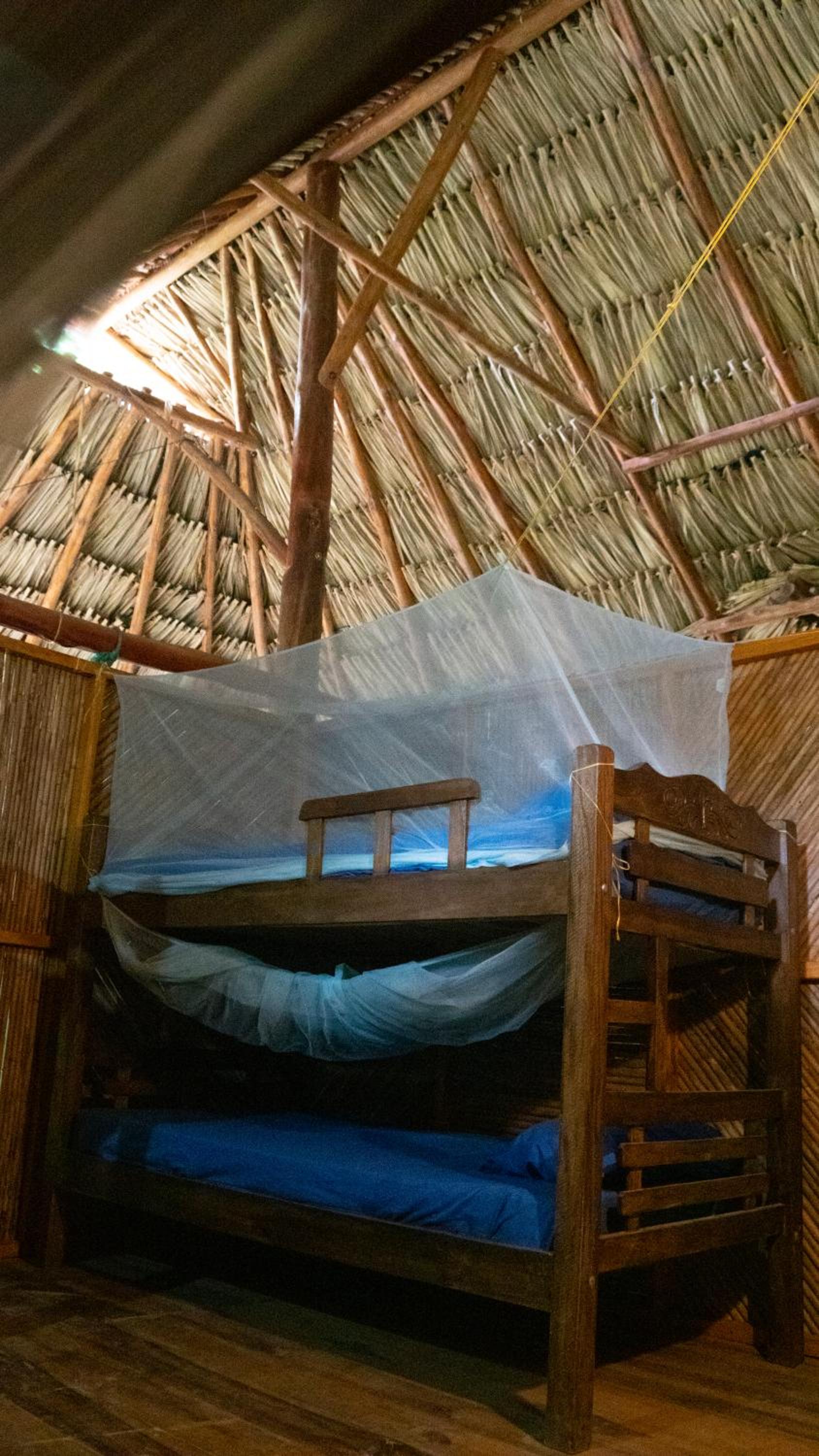 Single Bed in 6-Bed Dormitory Room photo 3