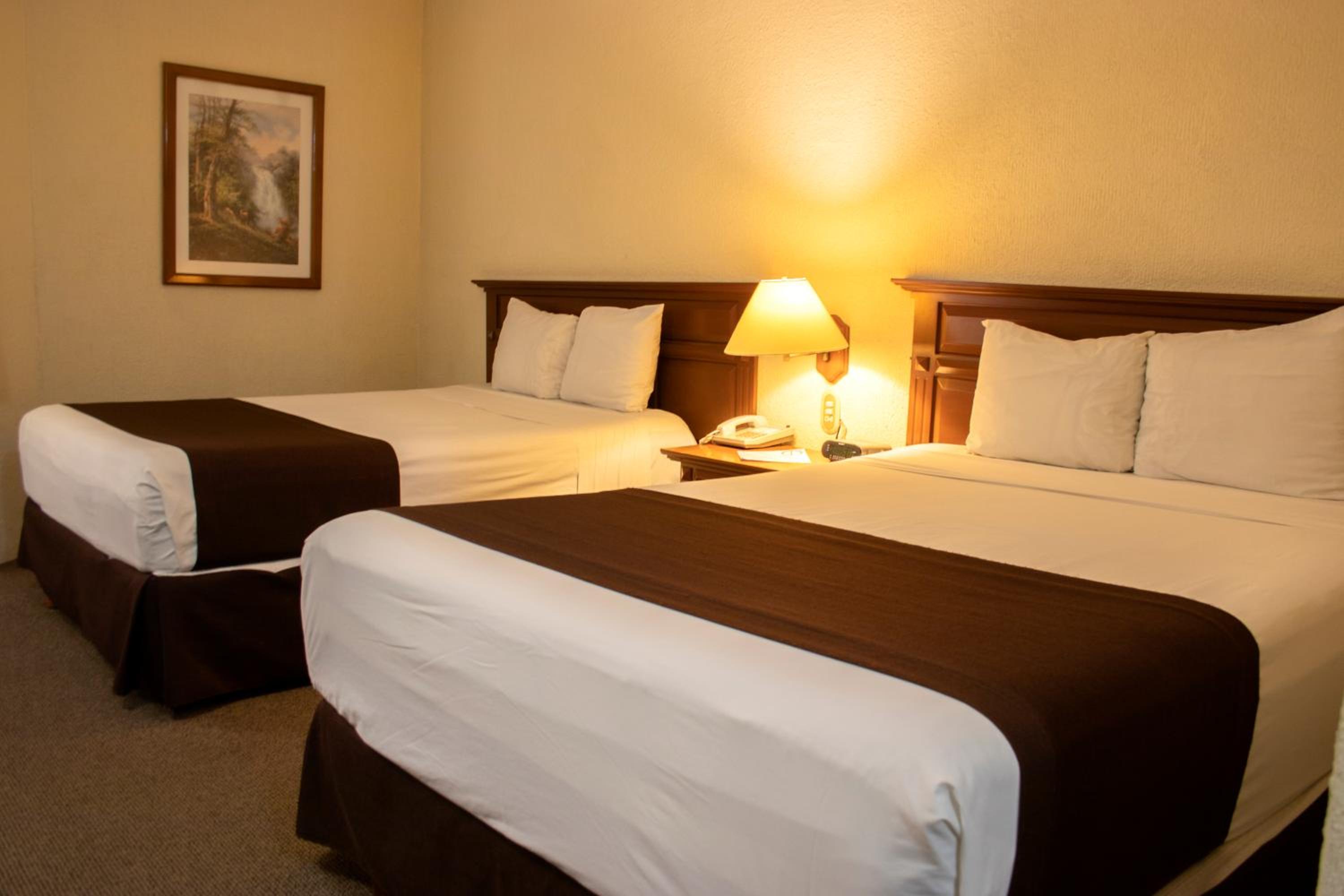Double Room with Two Double Beds - Photo 6