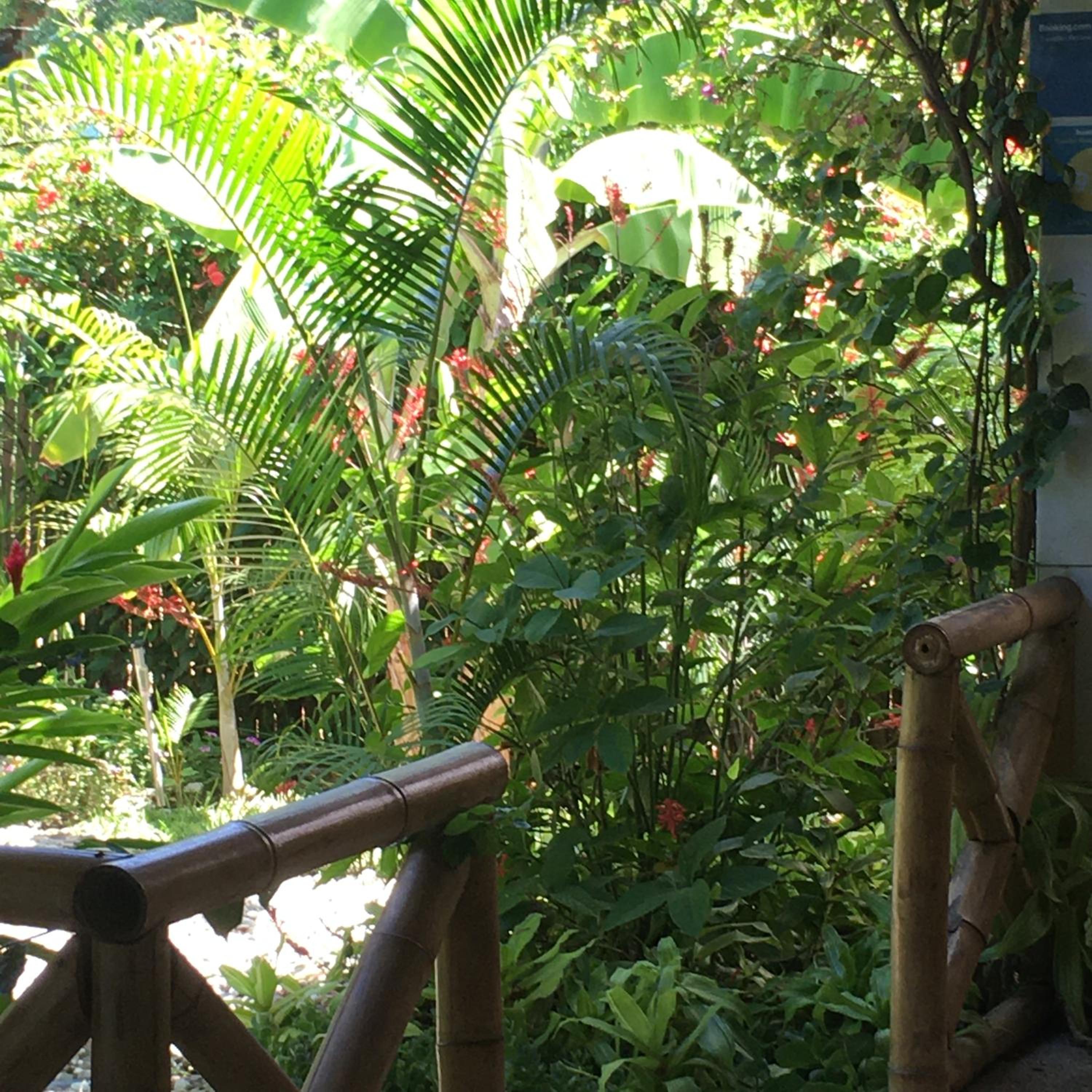 Double Room with Garden View photo 2