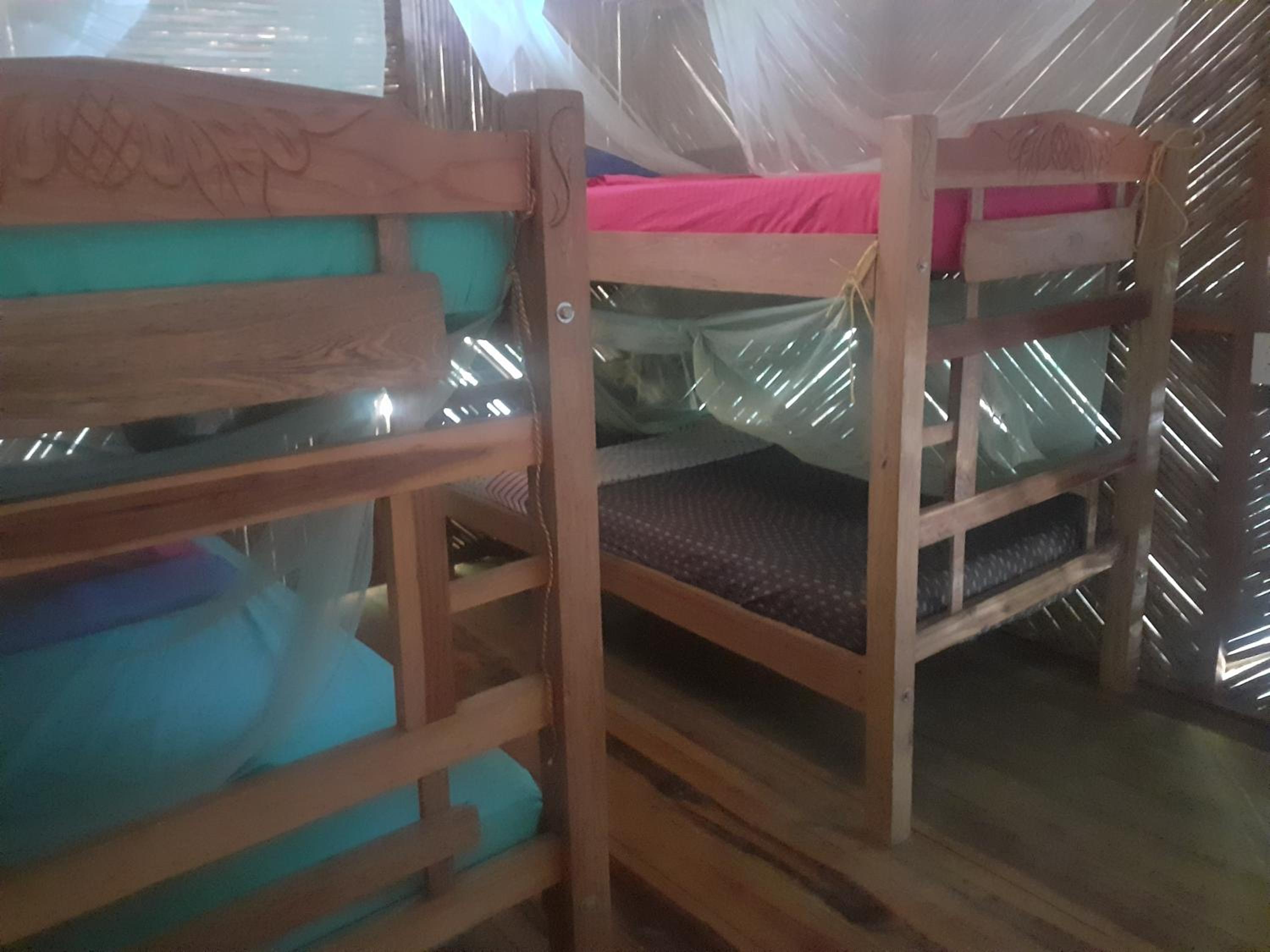 Bed in 4-Bed Dormitory Room photo 2