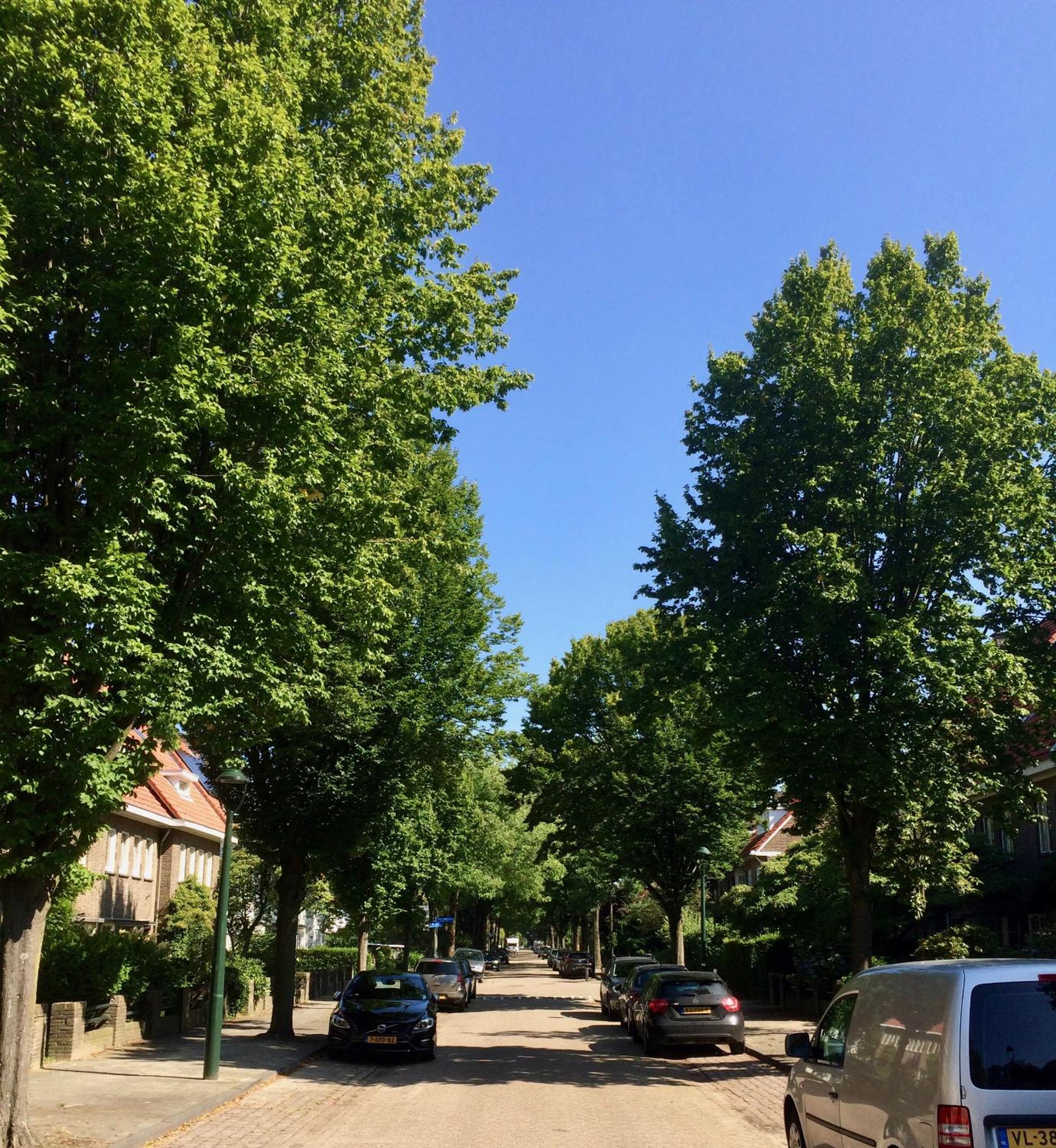 Eikenburg B&B, Foto 7