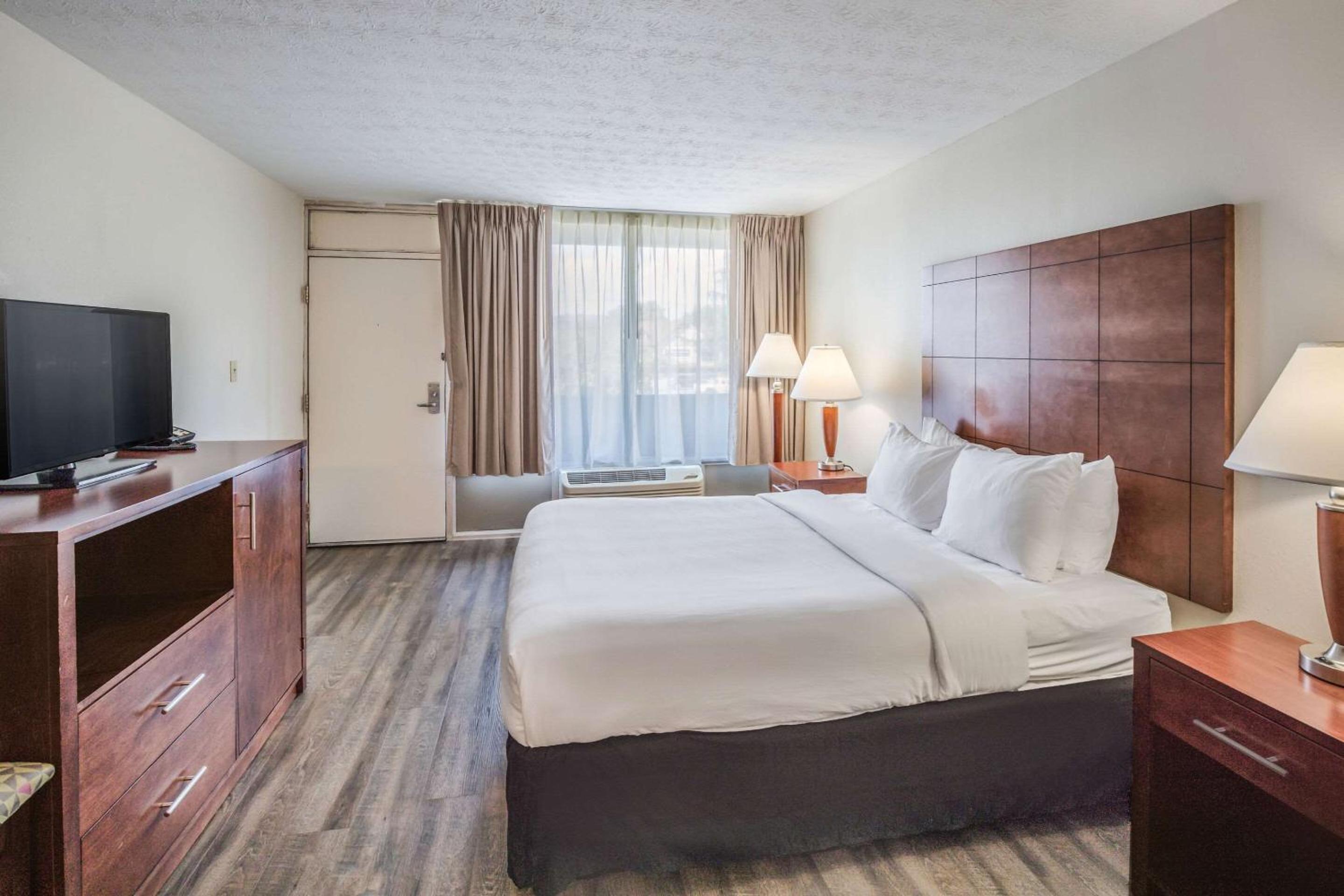 Standard Queen Room Pet Friendly - Non Smoking - Photo 4