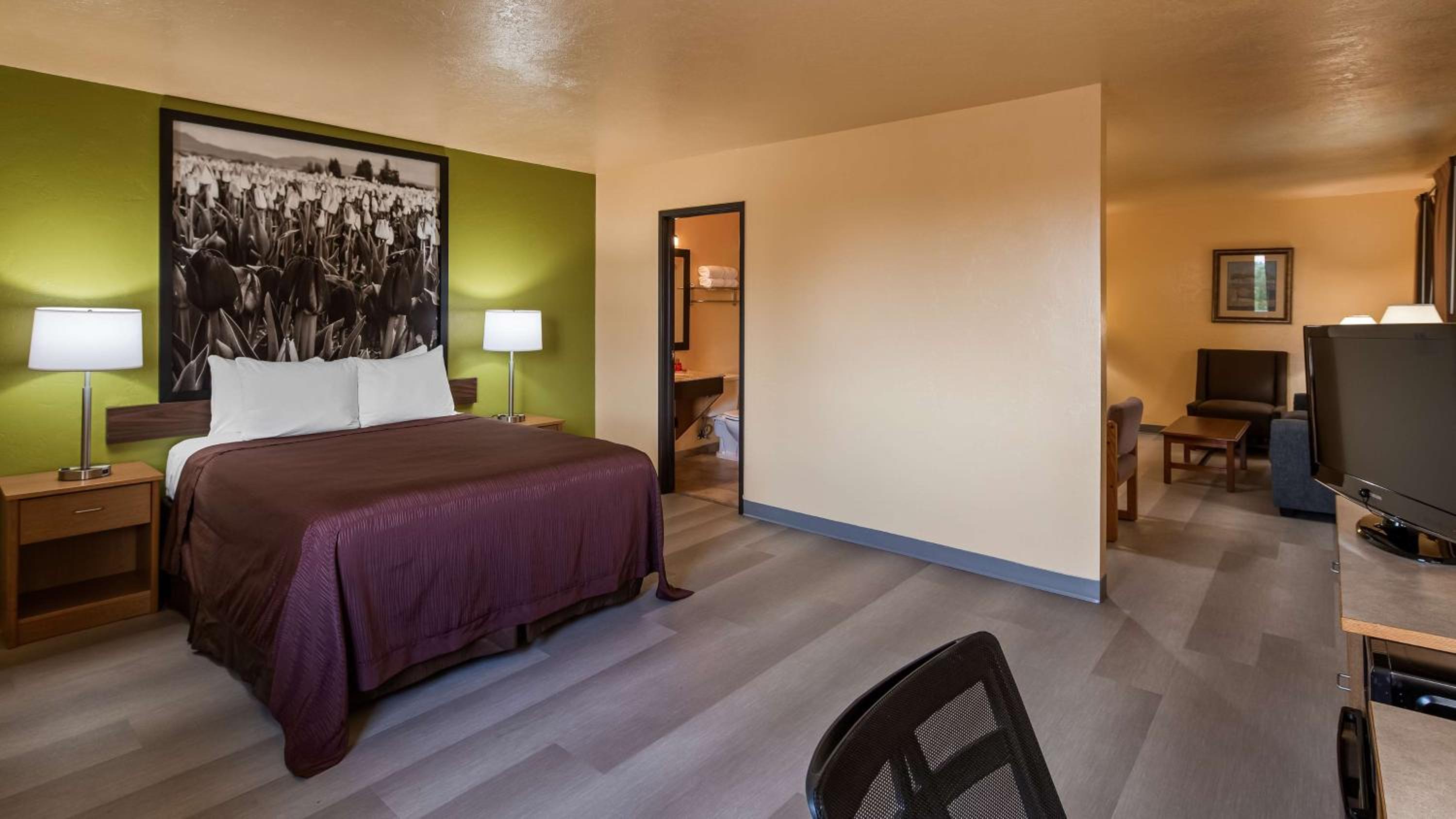 One-Bedroom Queen Suite with Sofa Bed and Kitchen - Photo 1