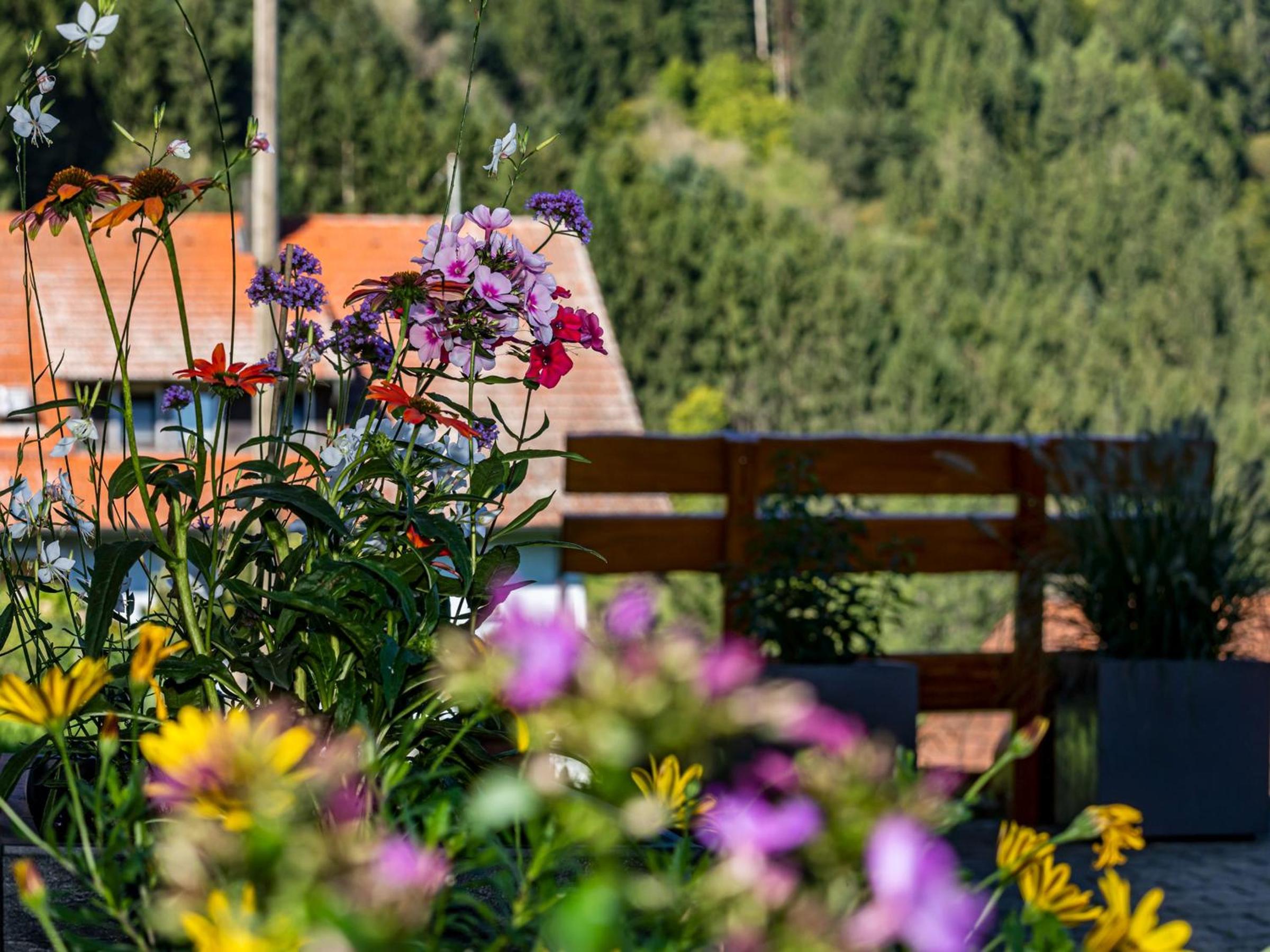 One-Bedroom Apartment with Garden View photo 2