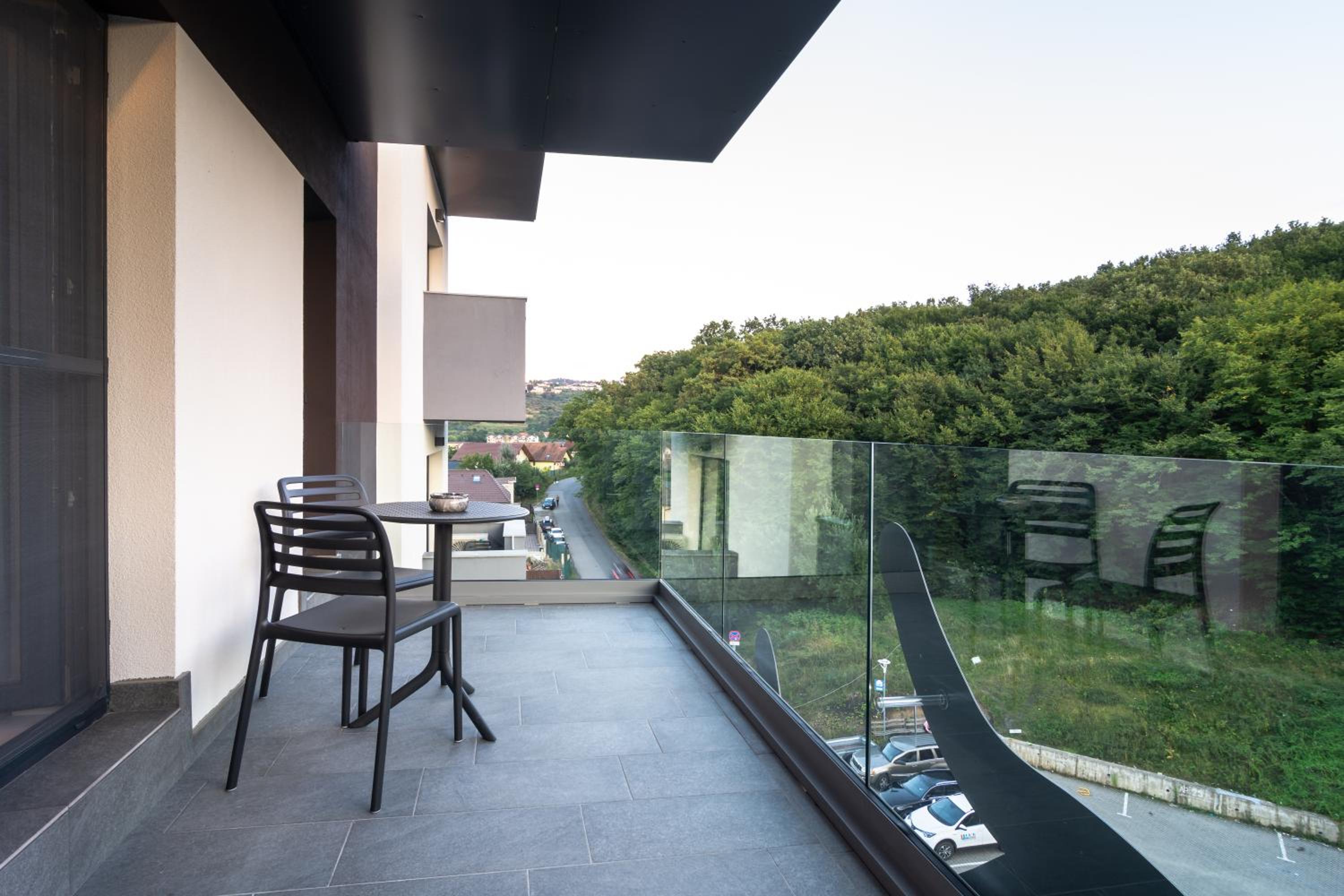 Superior Apartment - Photo 9