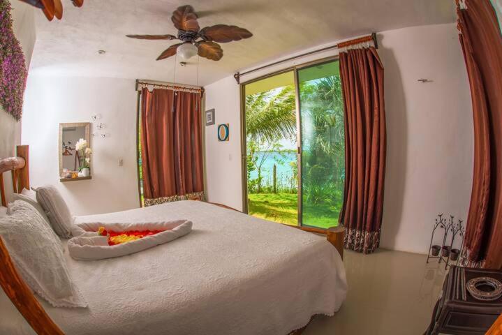 One-Bedroom Apartment - Photo 6