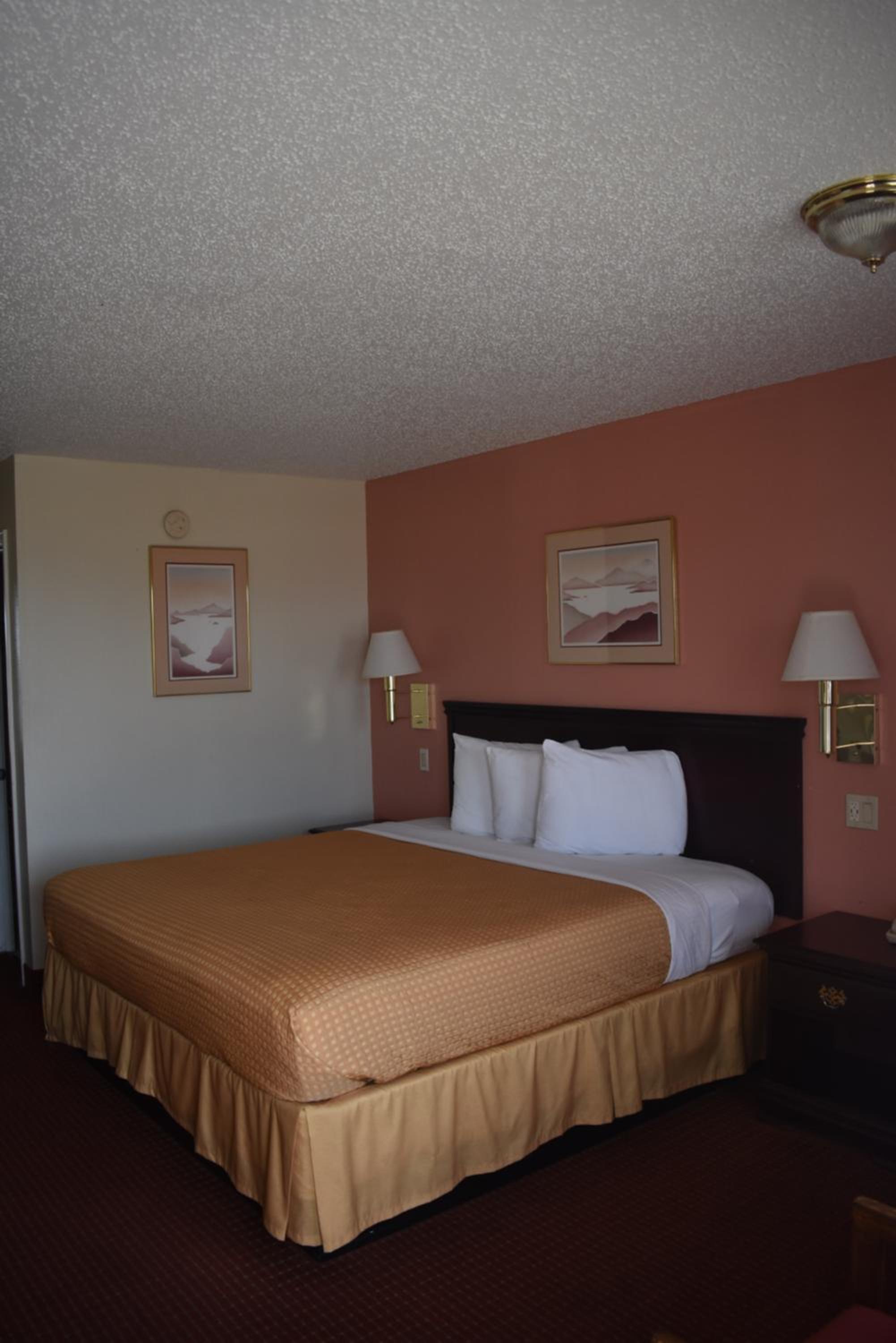 Deluxe King Room - Photo 26