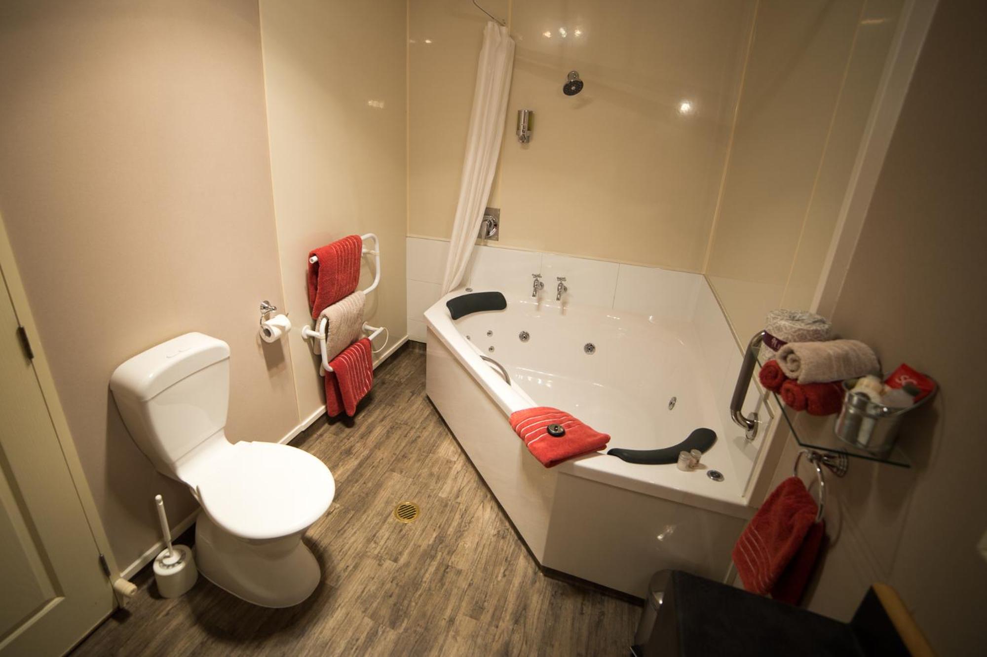Executive One-Bedroom Apartment with Spa Bath photo 2