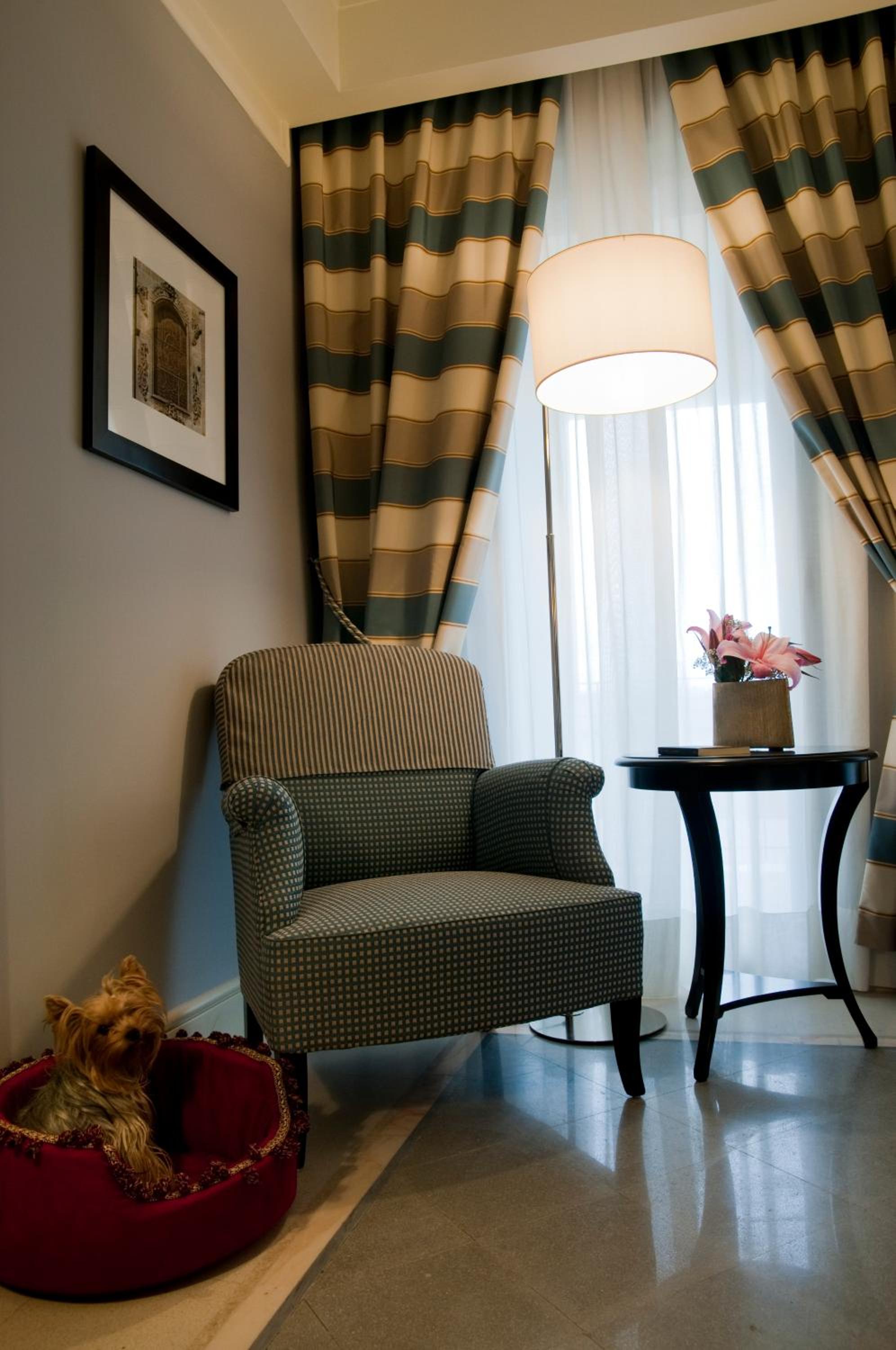 Comfort Twin Room - Photo 9