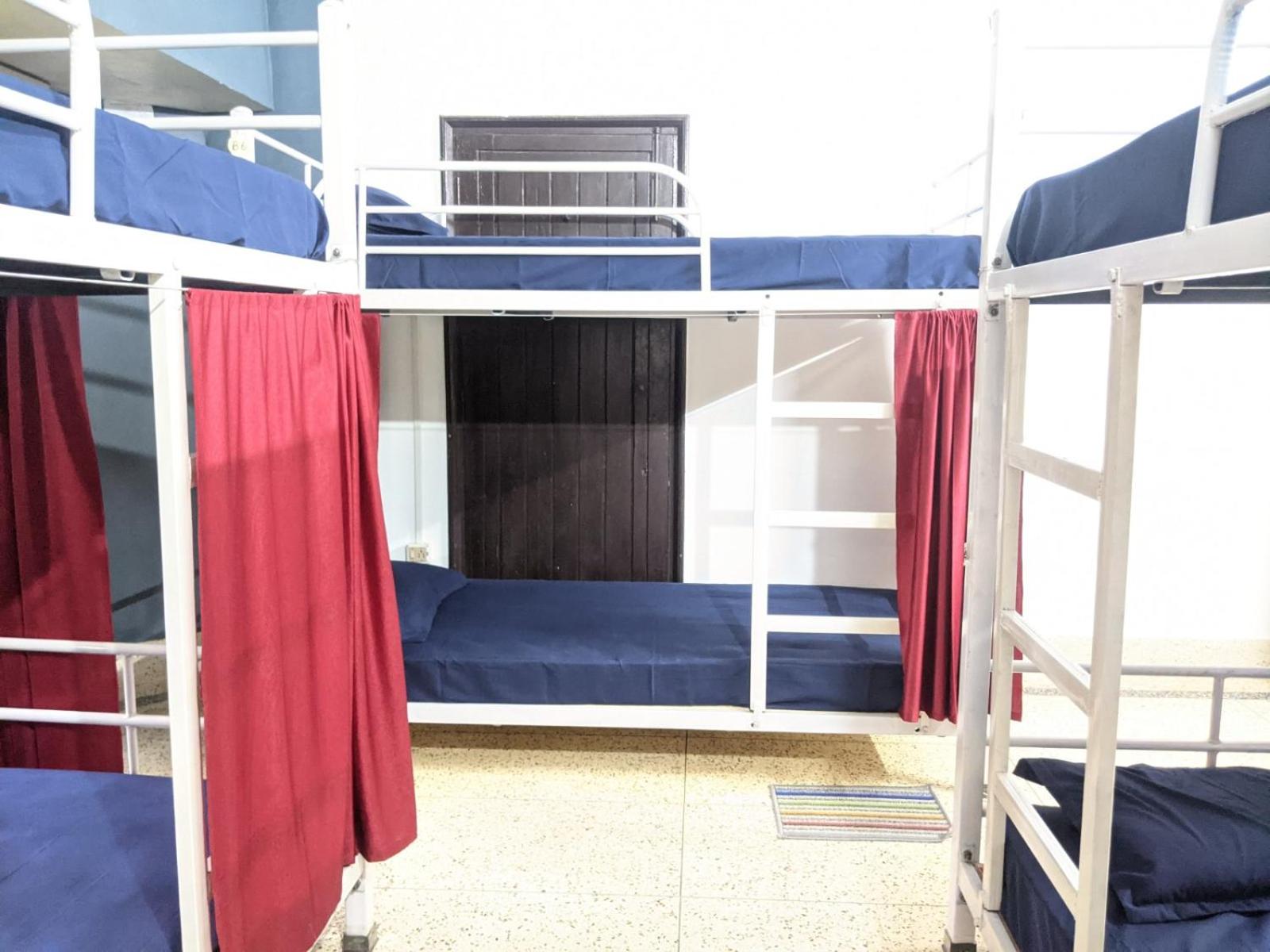 Bed in 6-Bed Mixed Dormitory Room photo 1