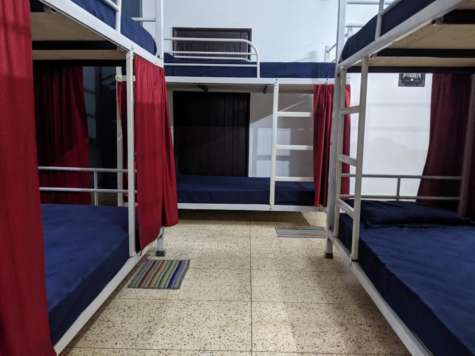 Bed in 6-Bed Mixed Dormitory Room photo 3