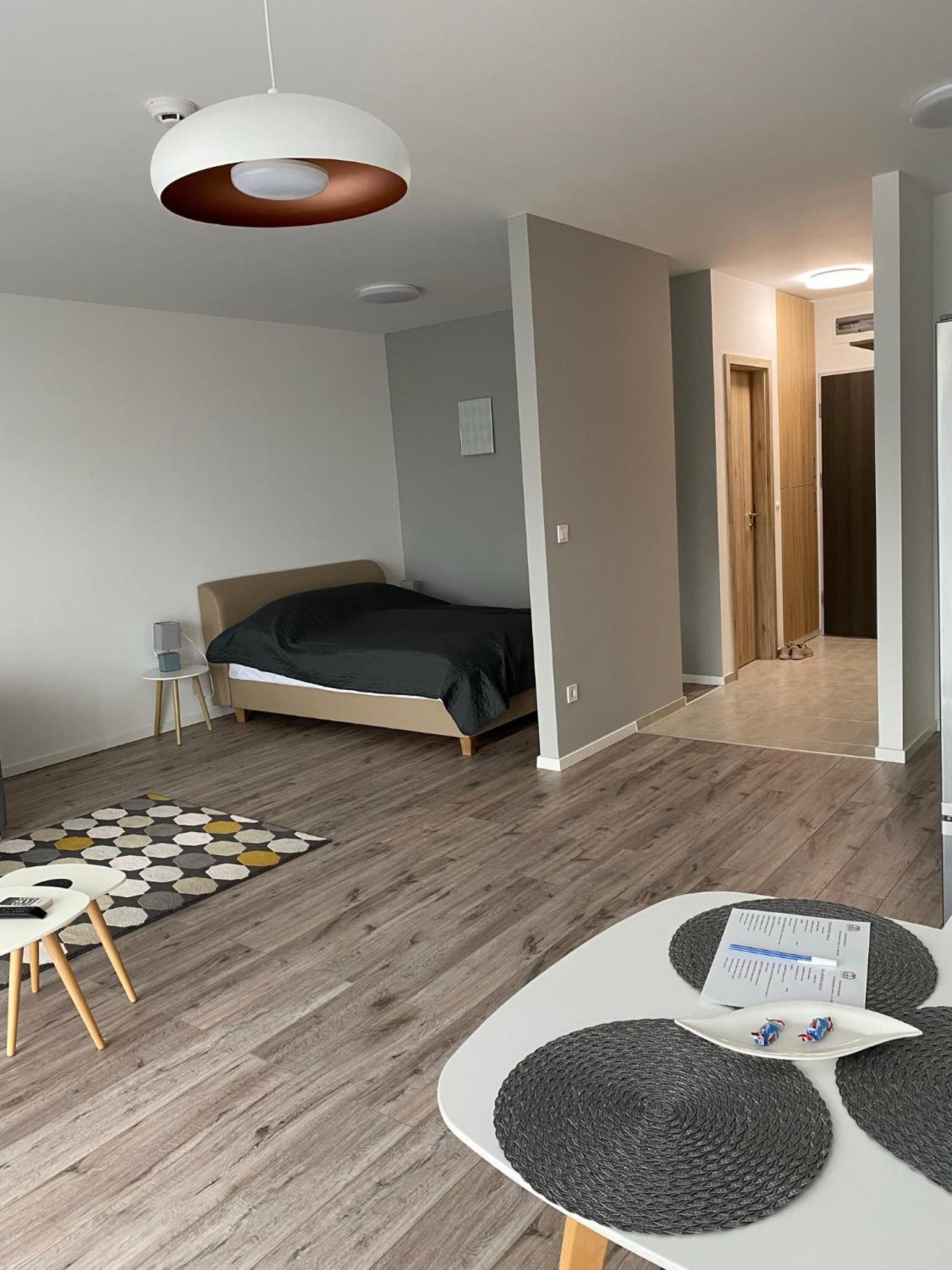 Studio Apartment - Photo 10