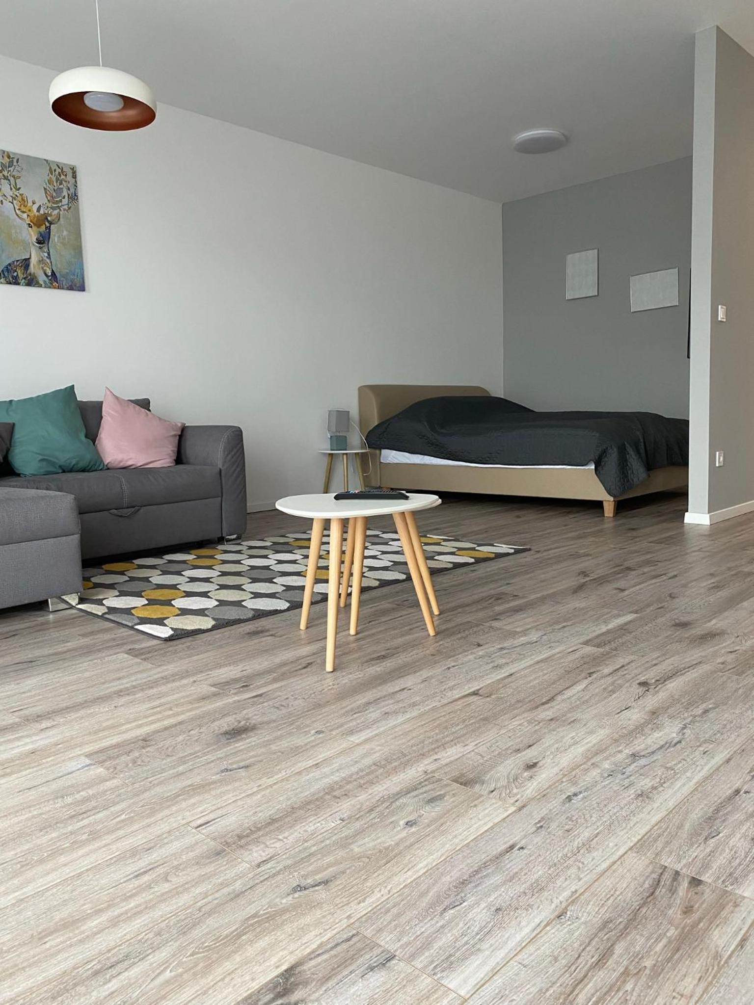 Studio Apartment - Photo 2