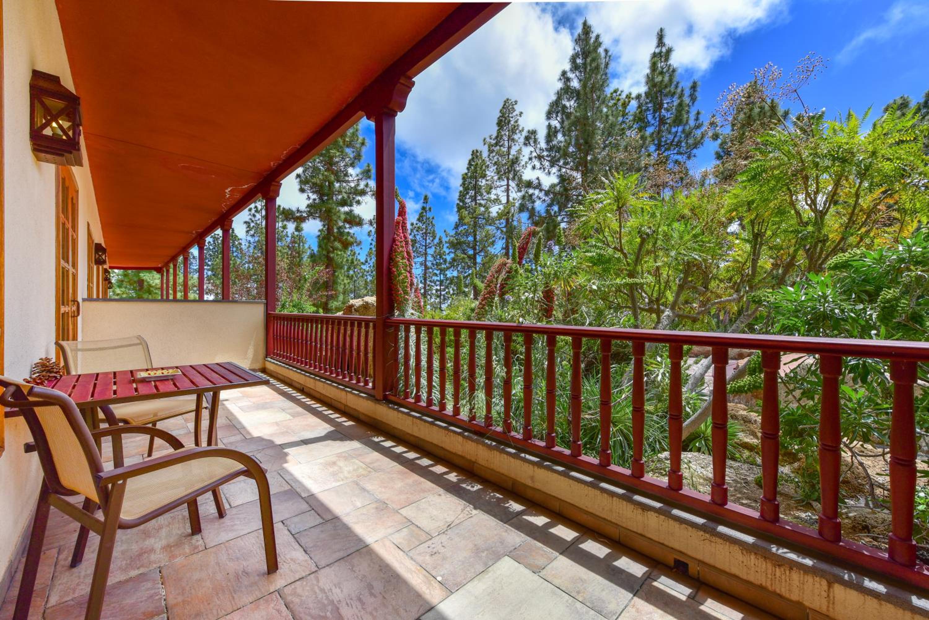 Suite Junior con Vista al Jardín